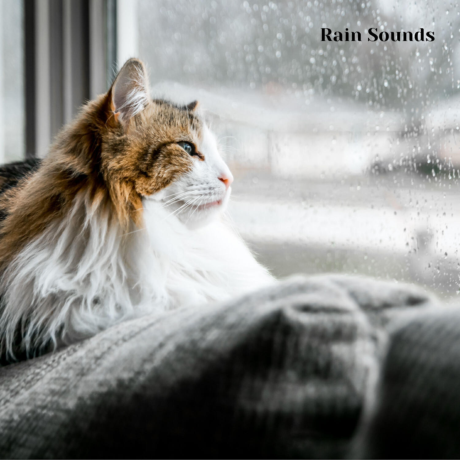 Weather - Summer Showers and Thunderstorms, Pt. 7