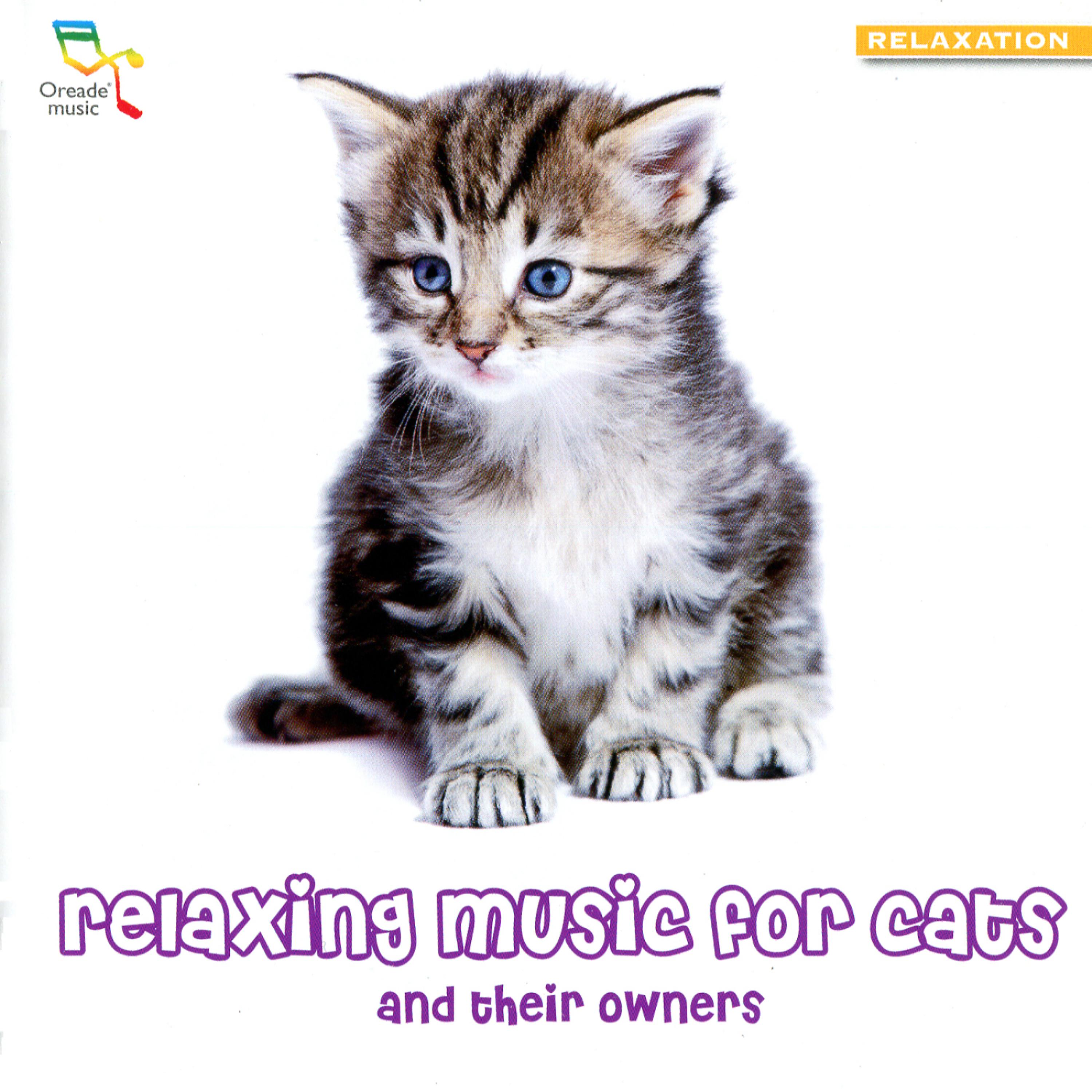 Постер альбома Relaxing Music for Cats - and Their Owners