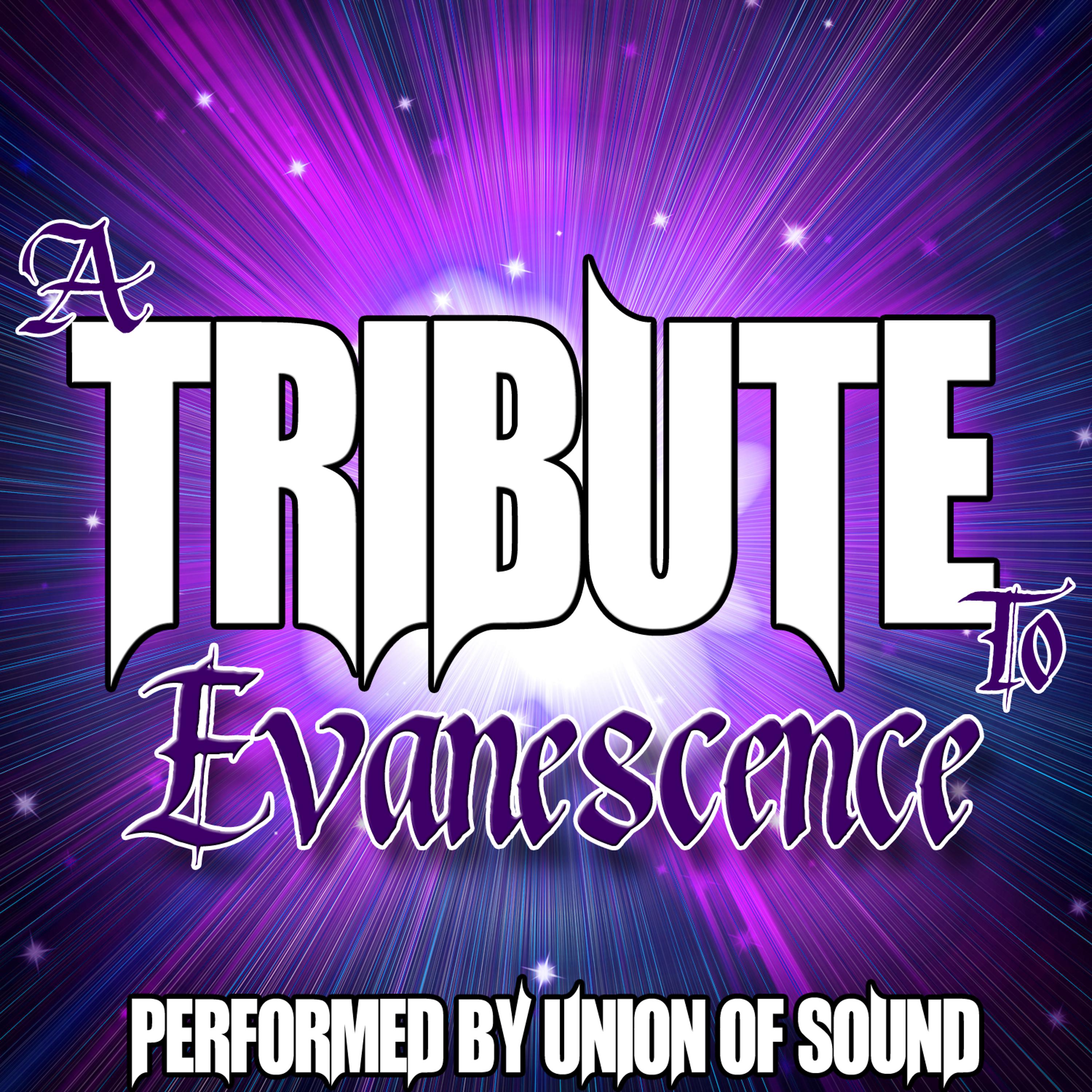 Постер альбома A Tribute to Evanescence