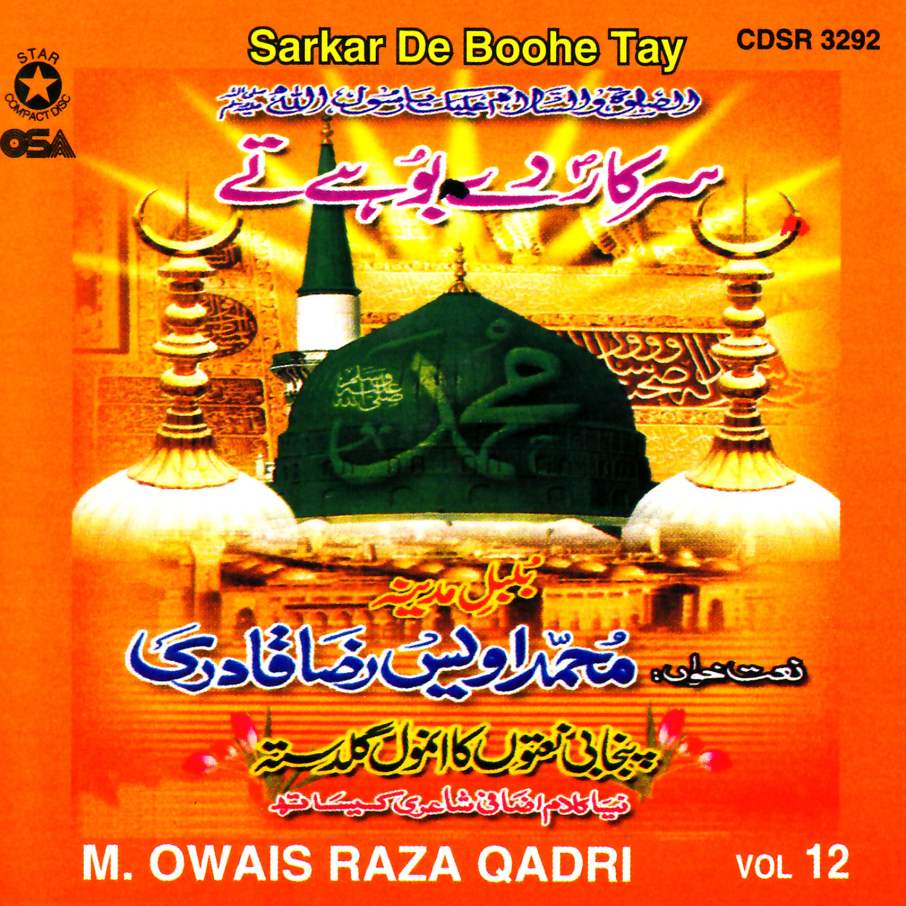 M Owais Raza Qadri - Tera Khawan Tere Main