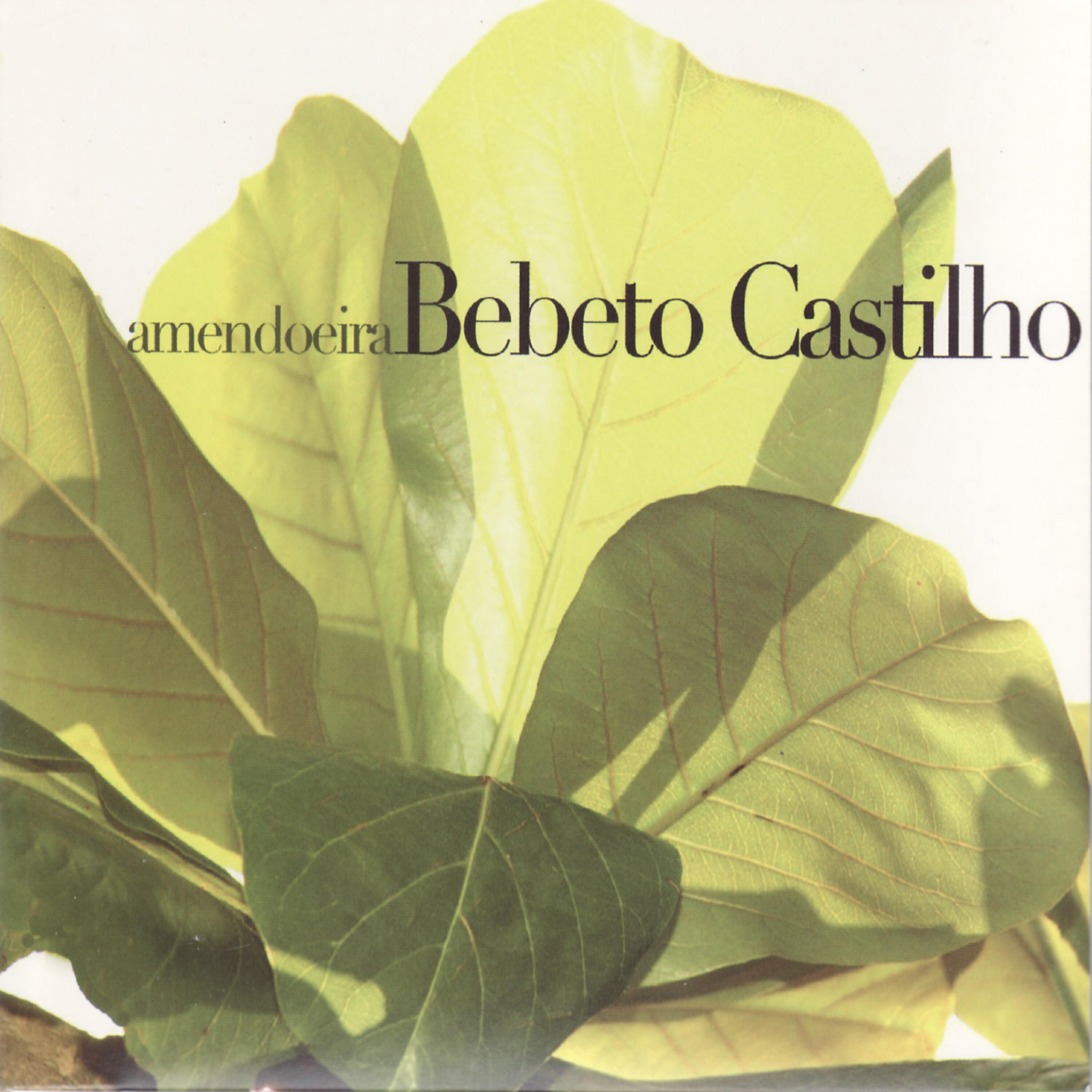 Bebeto Castilho - Amendoeira