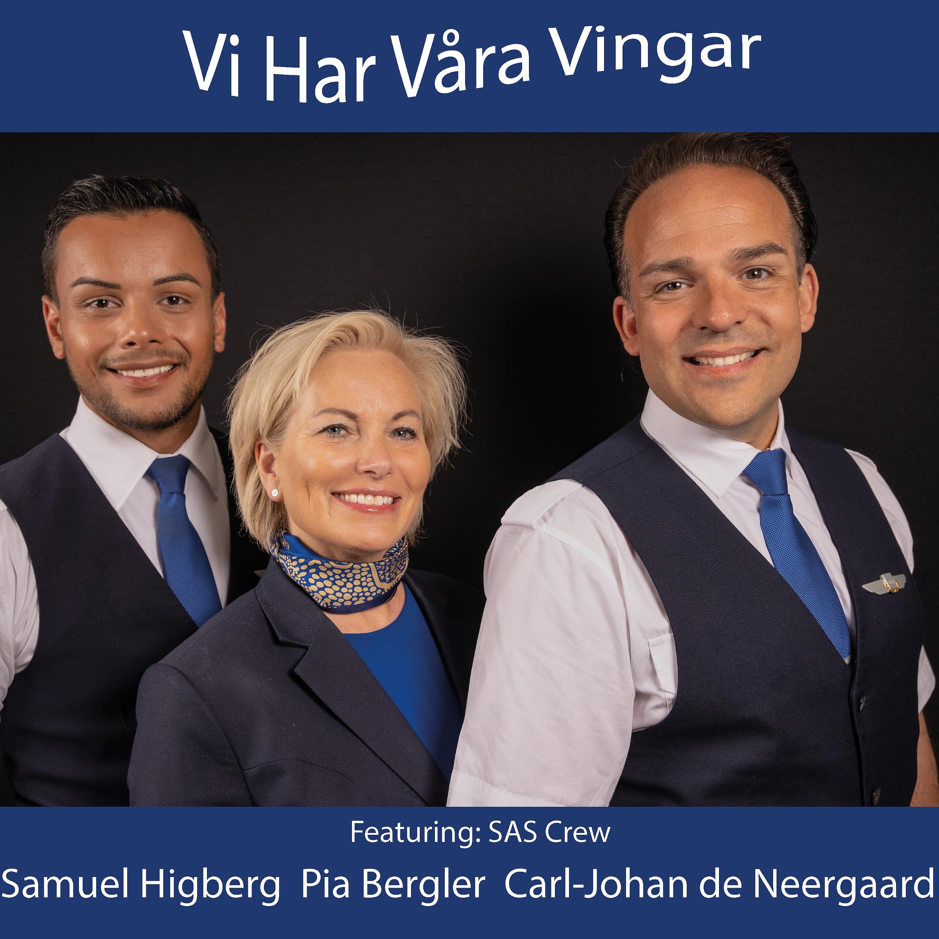Постер альбома Vi Har Våra Vingar