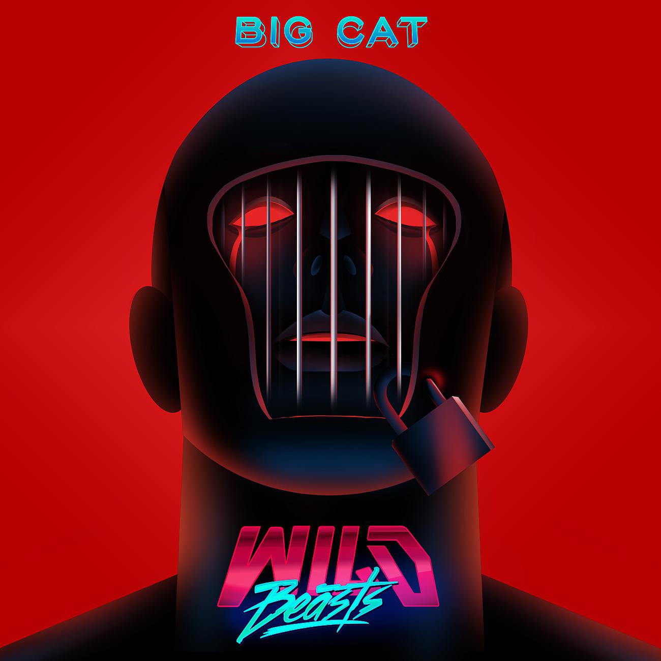 Постер альбома Big Cat