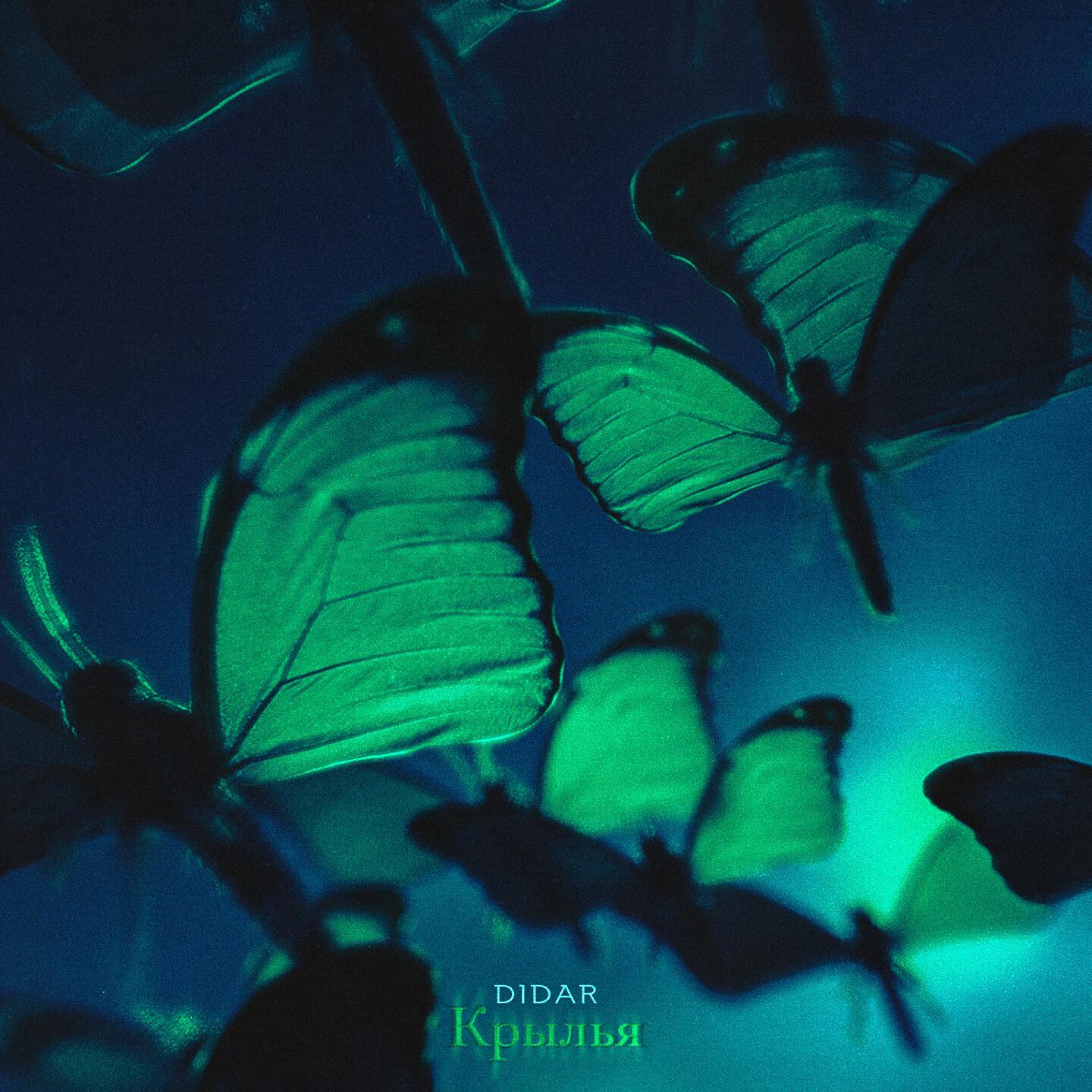 DIDAR - Крылья