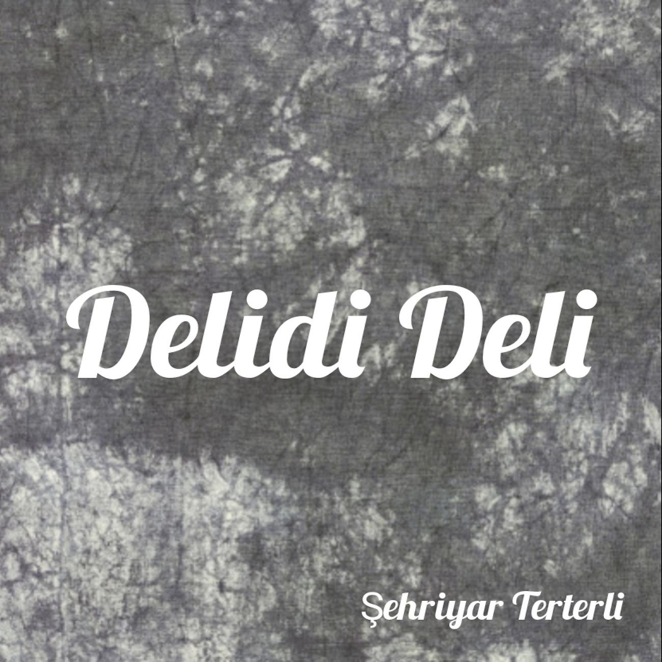 Постер альбома Delidi Deli