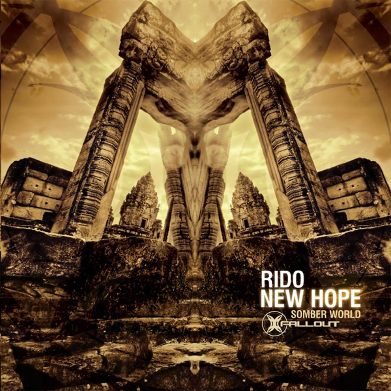 Постер альбома New Hope / Somber World