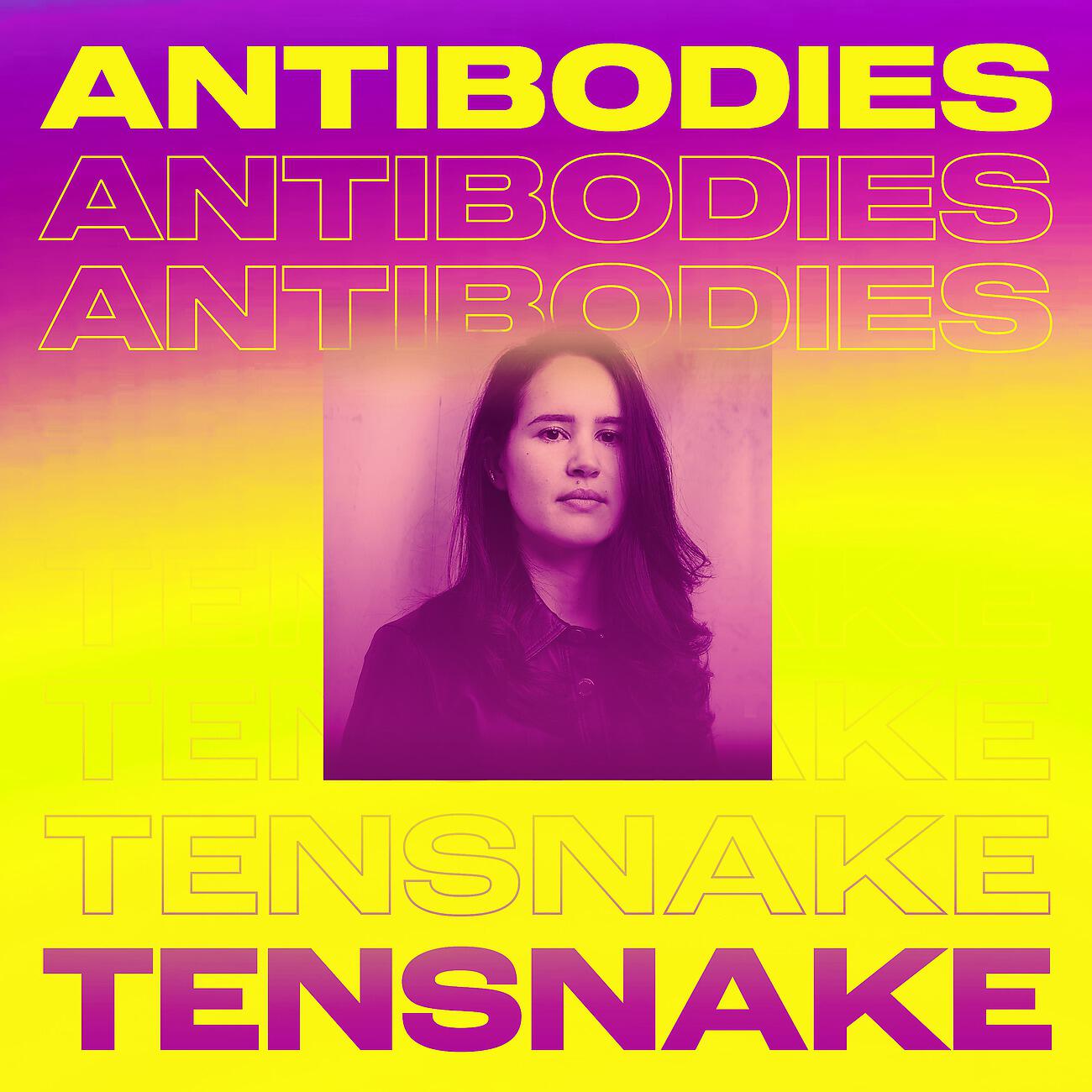Tensnake - Antibodies