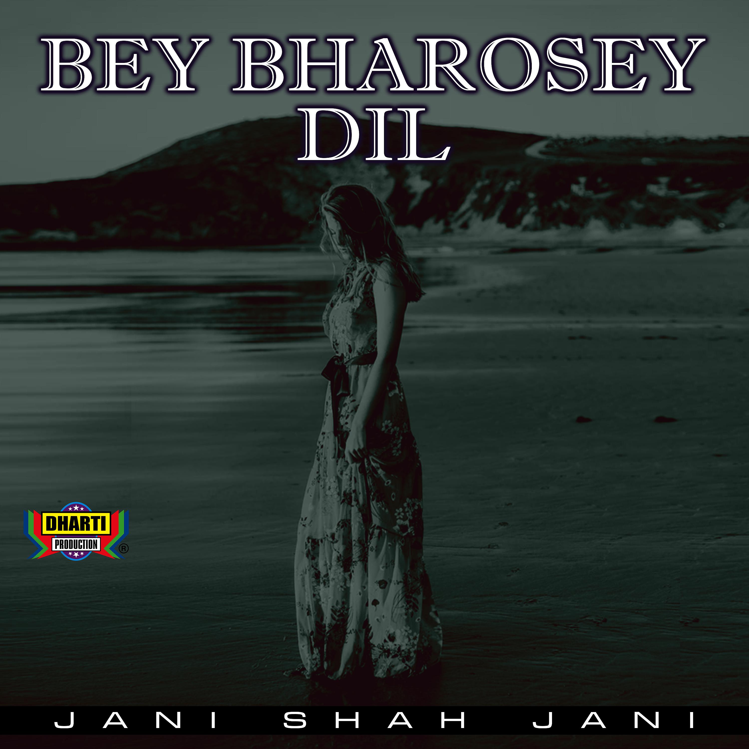 Постер альбома Bey Bharosey Dil