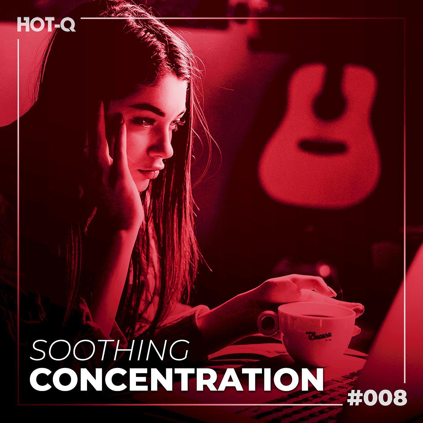 Постер альбома Soothing Concentration 008