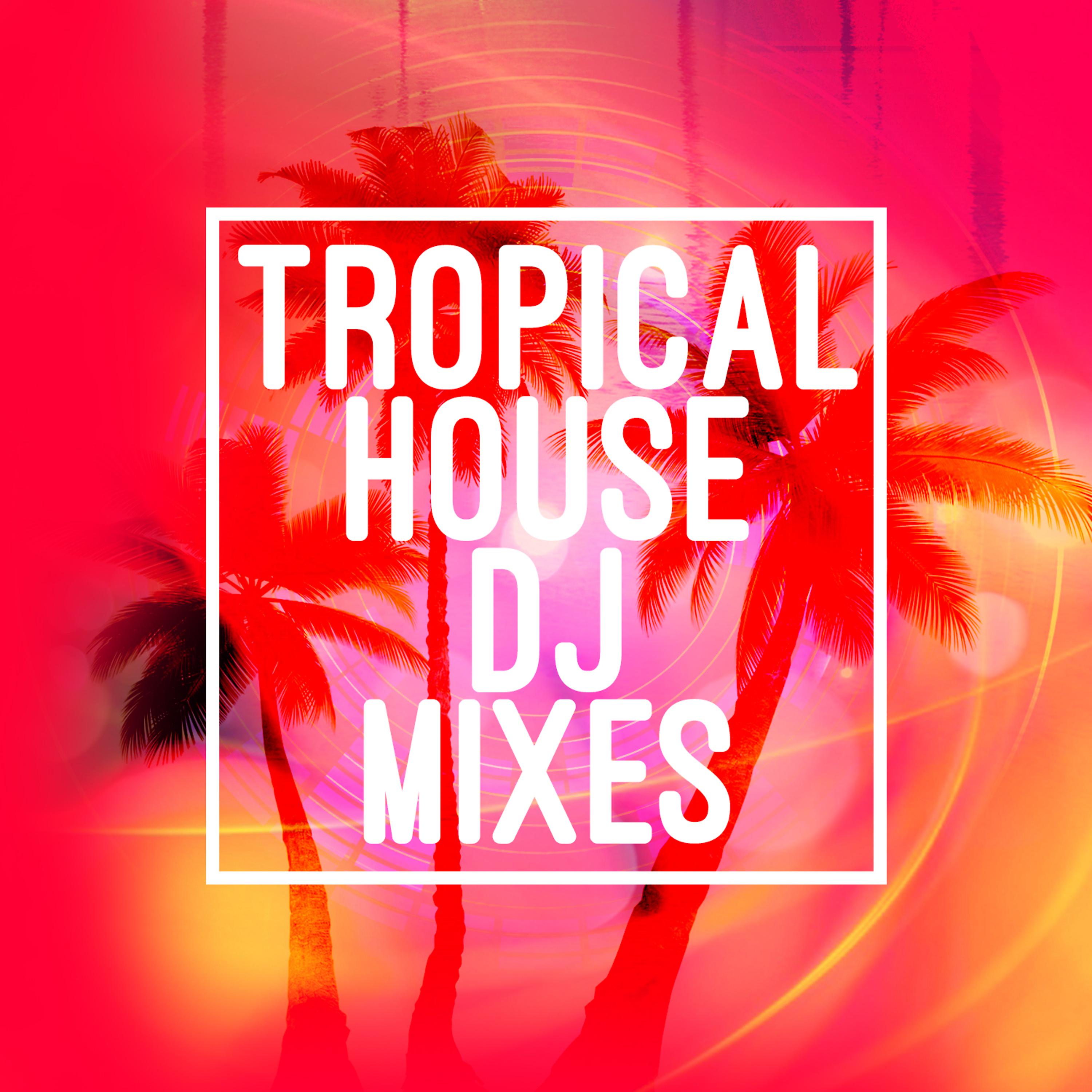 Постер альбома Tropical House DJ Mixes