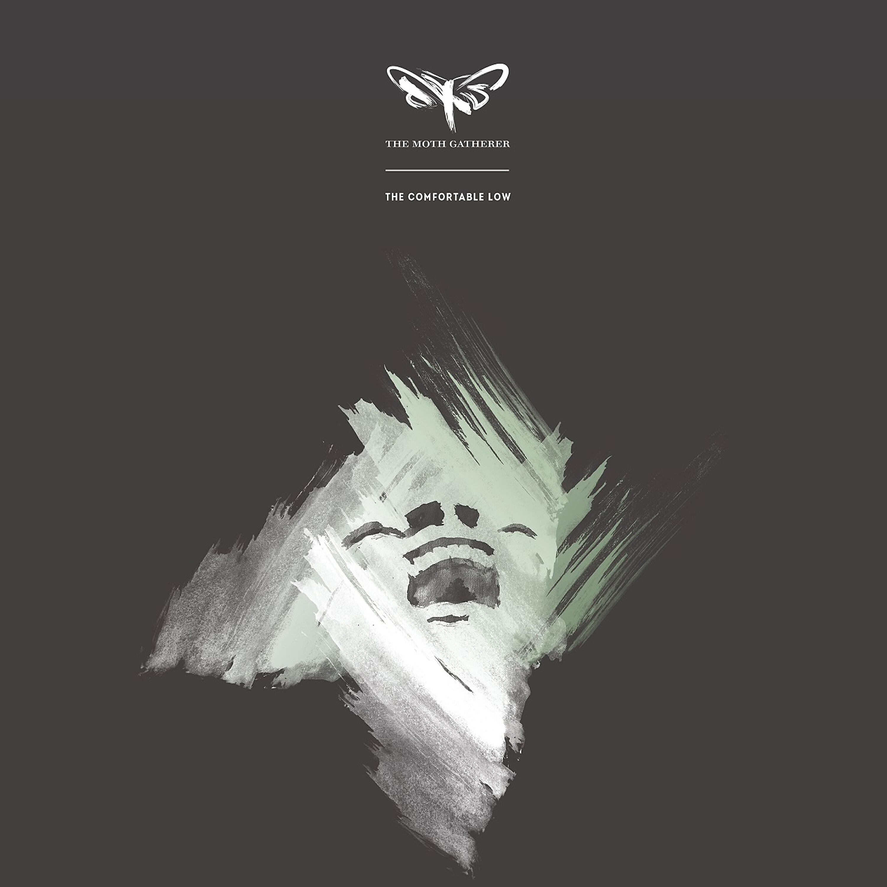 The Moth Gatherer - This Providence of Bones