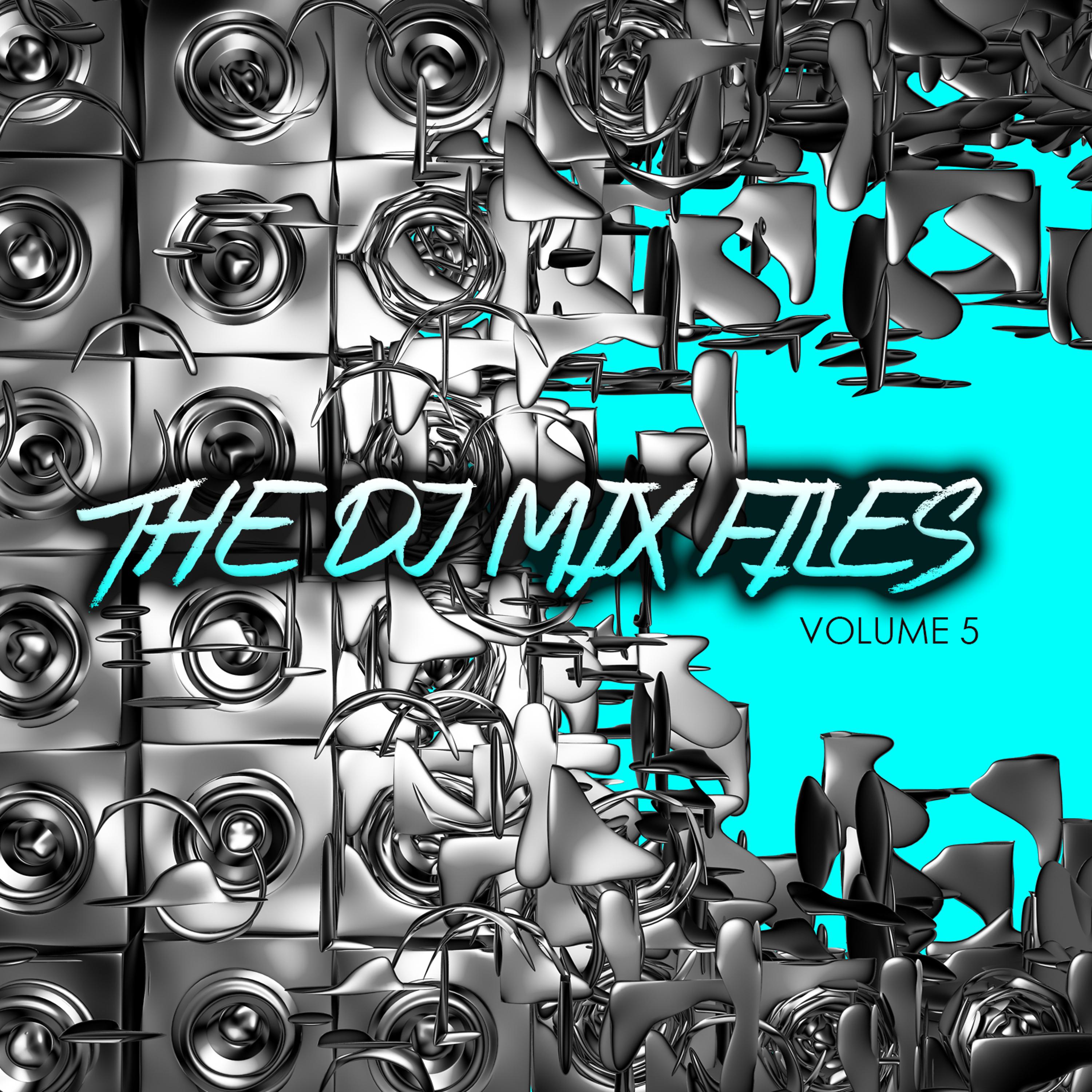 Постер альбома The DJ Mix Files, Vol. 5