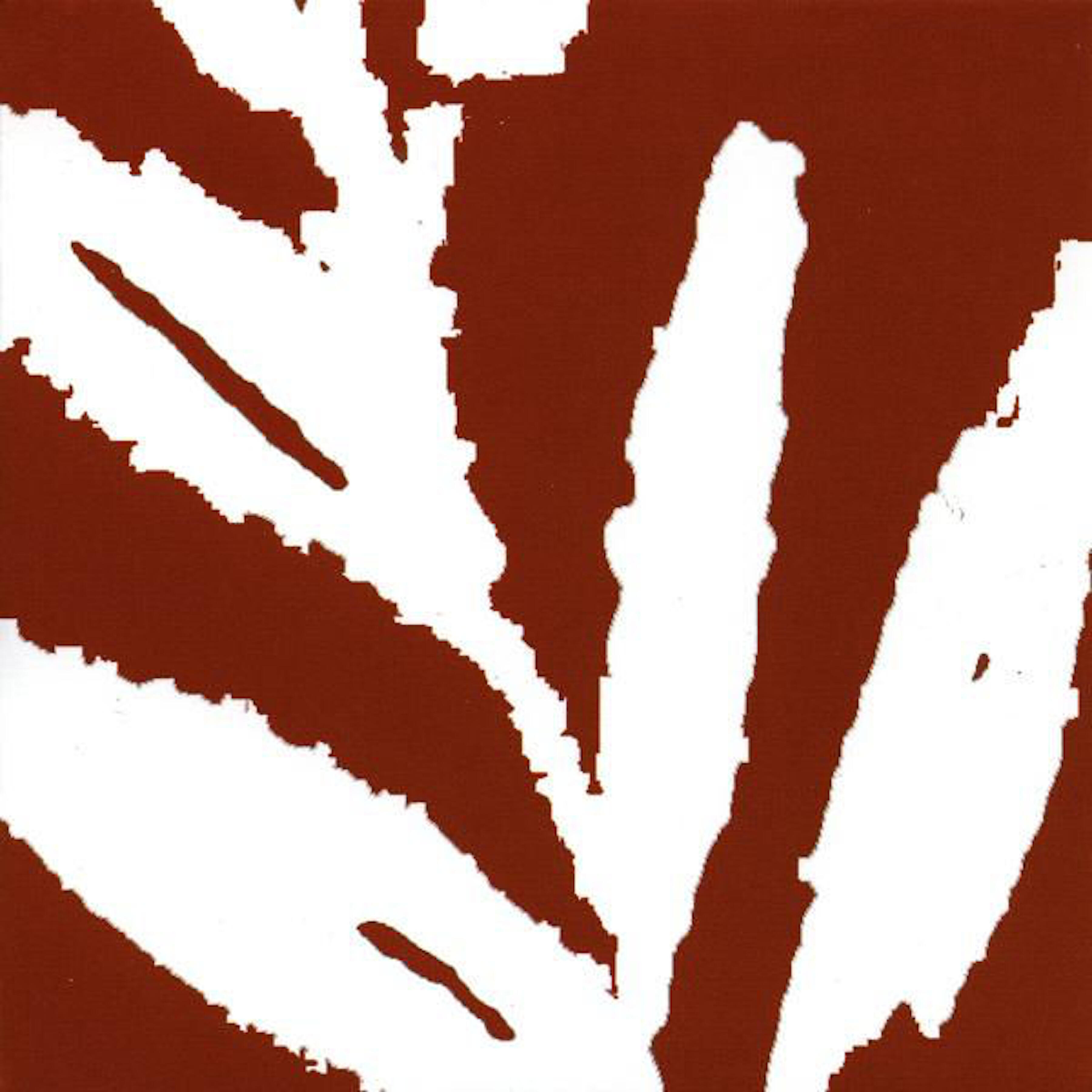 The Album Leaf - Auras