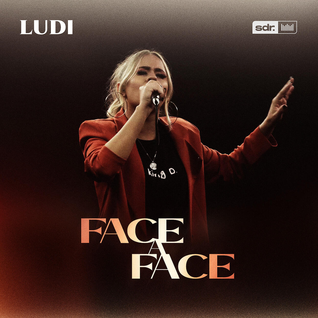 LUDI - Face a Face