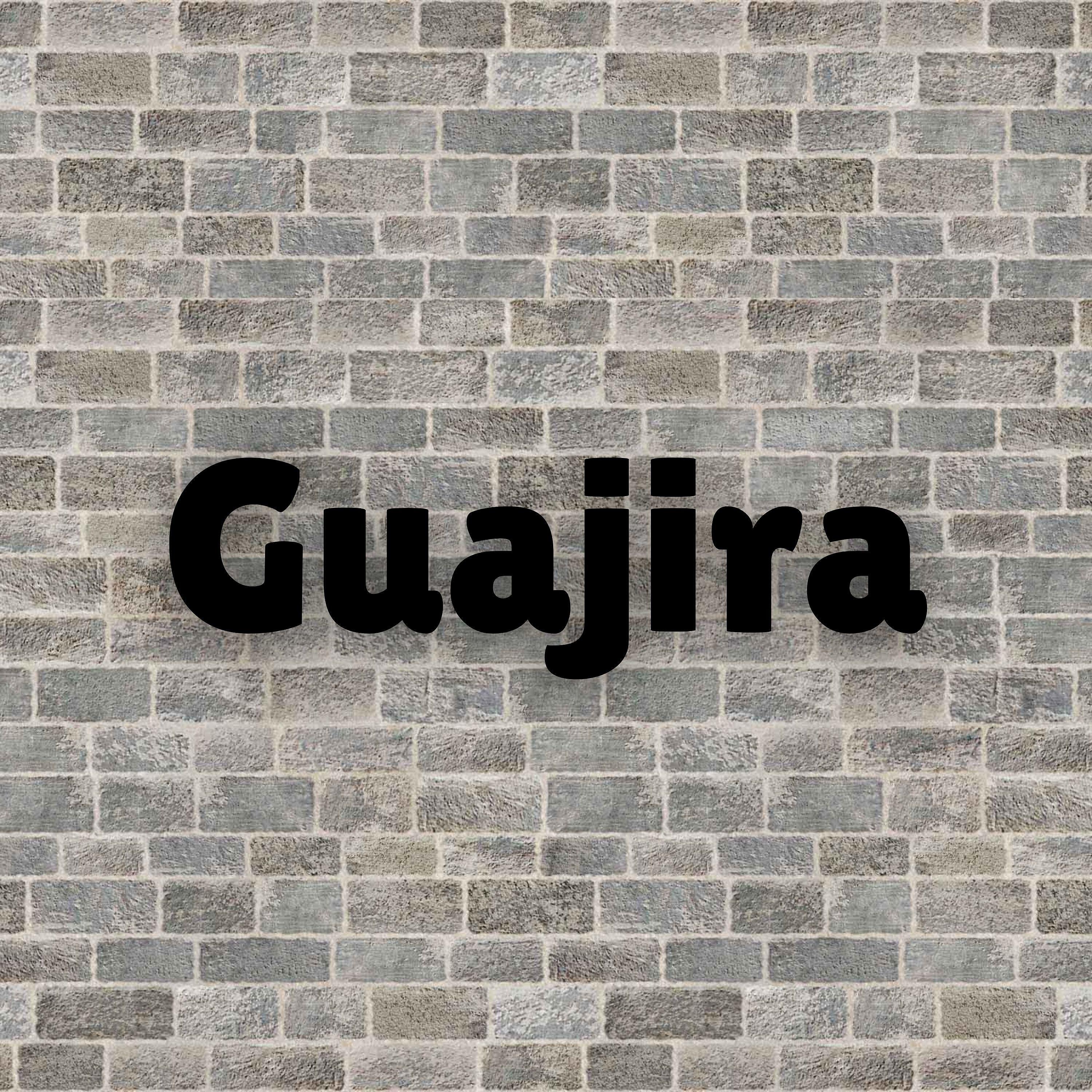 charlie palomares - Guajira