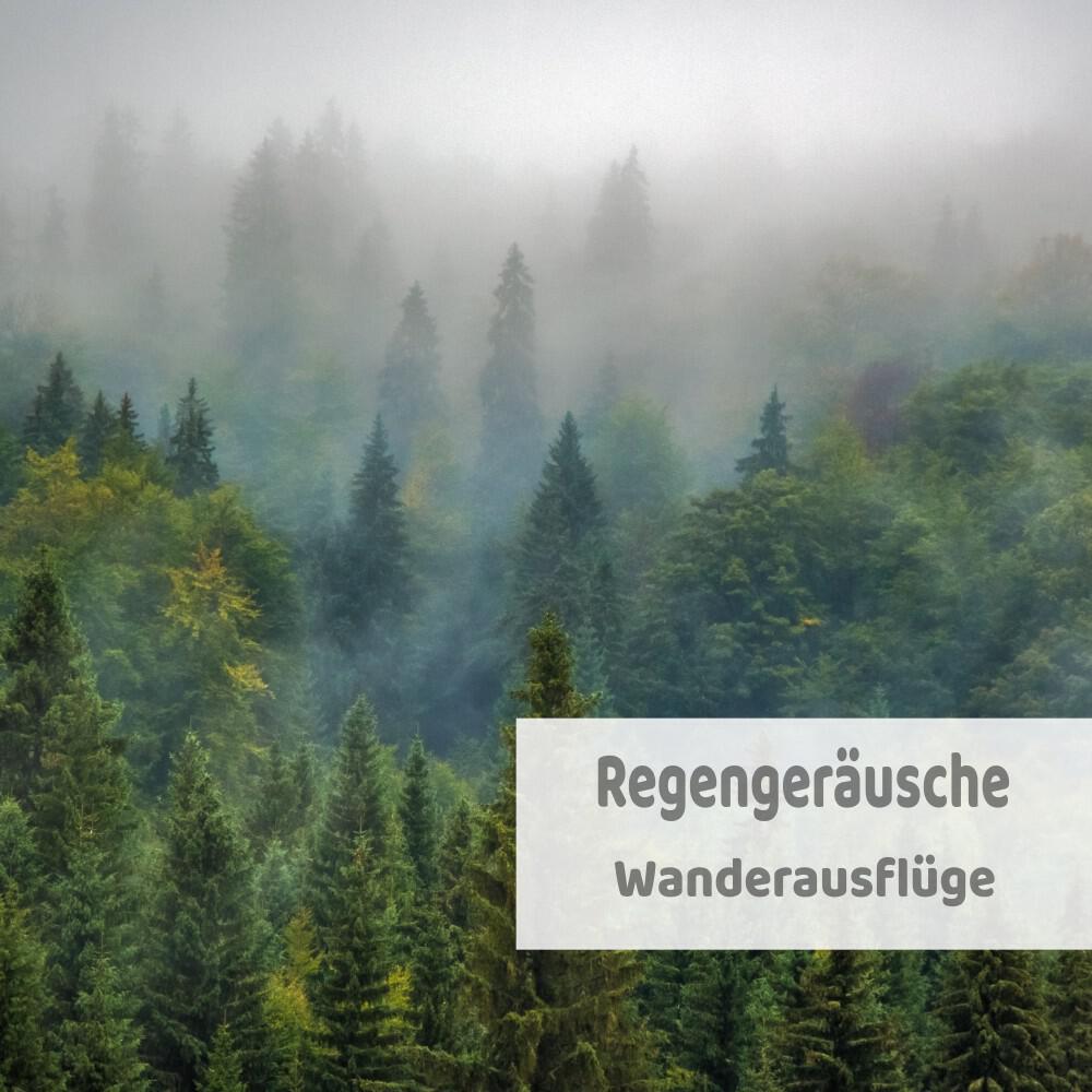 Regengeräusche - Einschlafhilfe