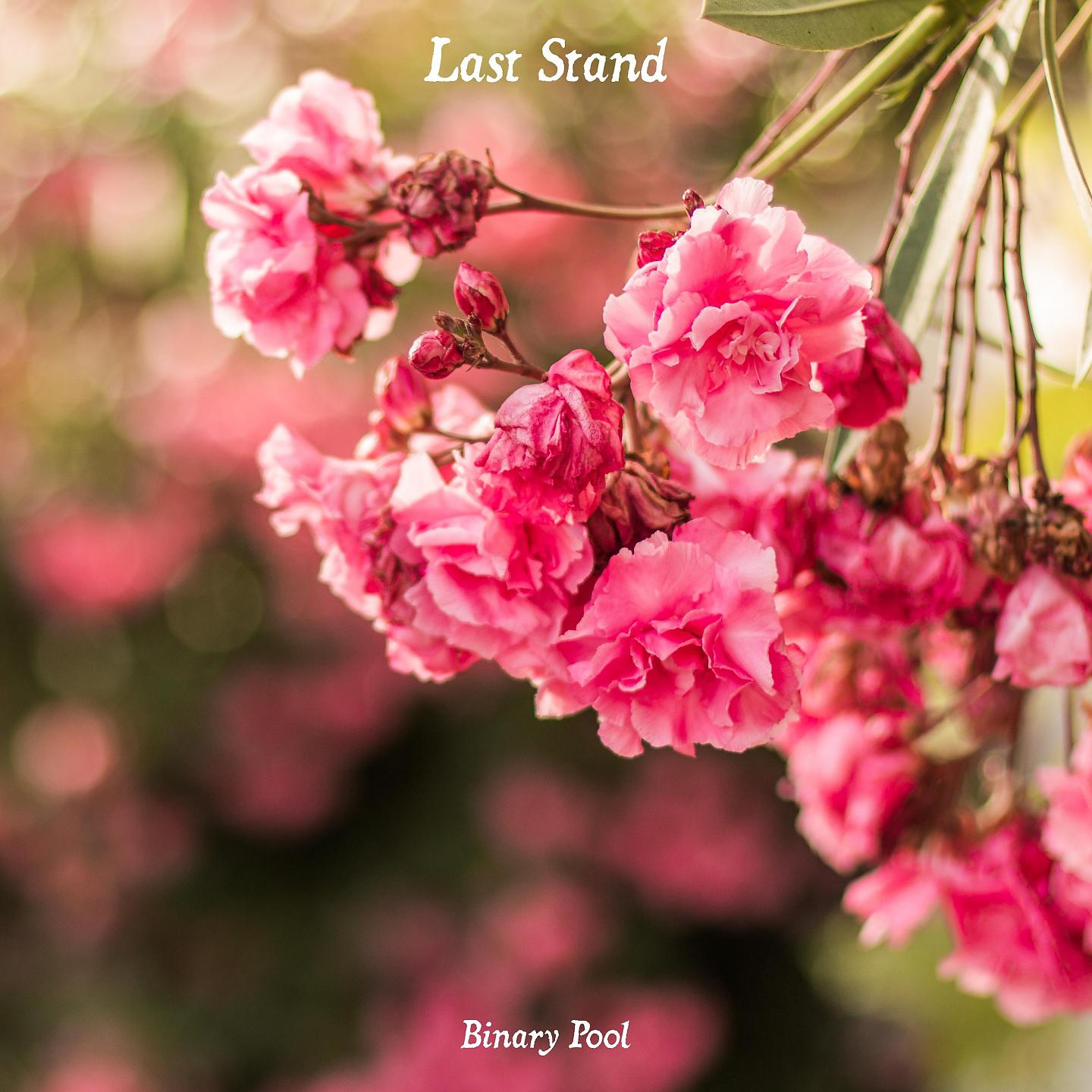Постер альбома Last Stand