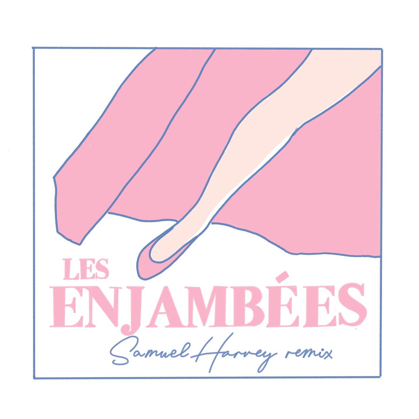 Постер альбома Les enjambées