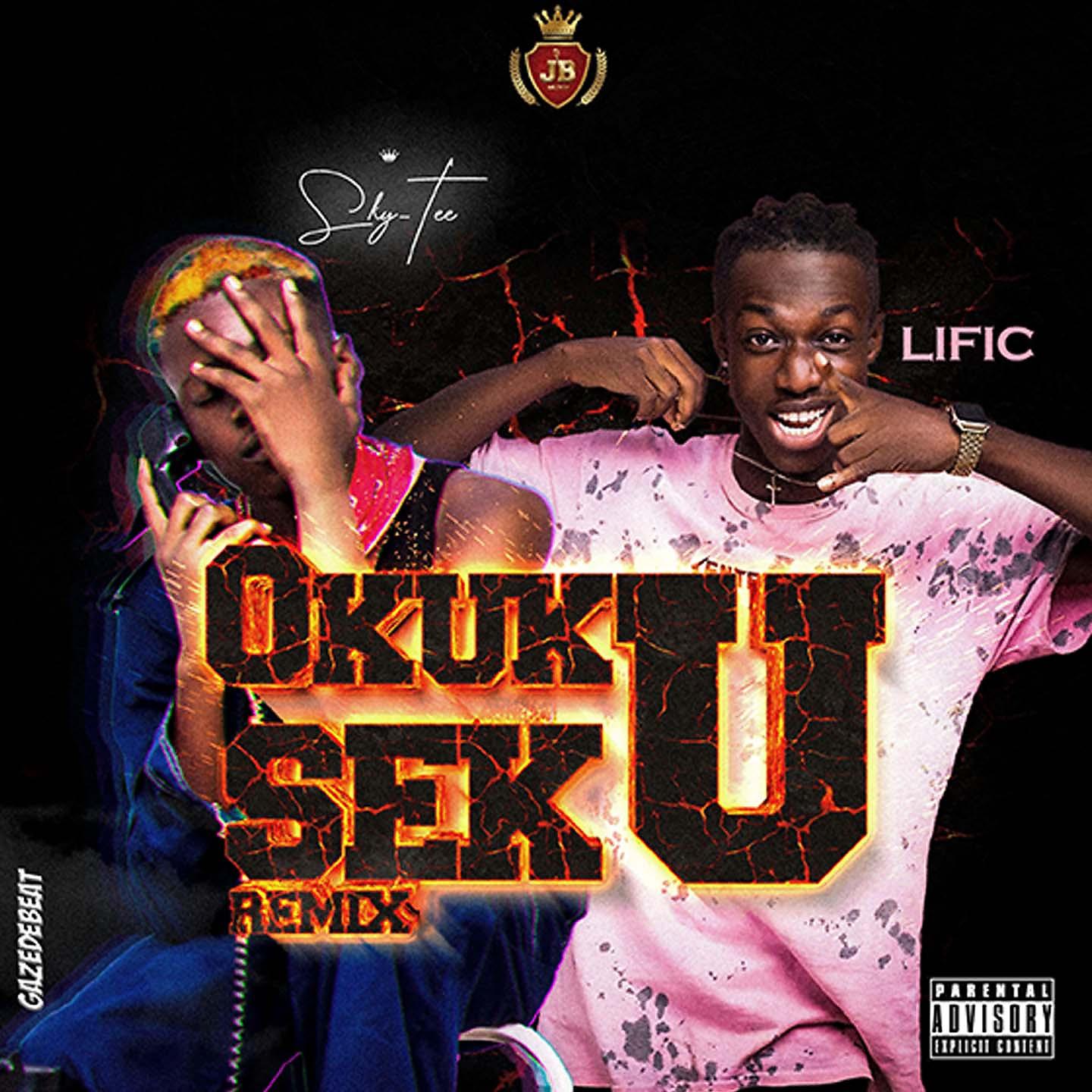 Постер альбома Okukuseku