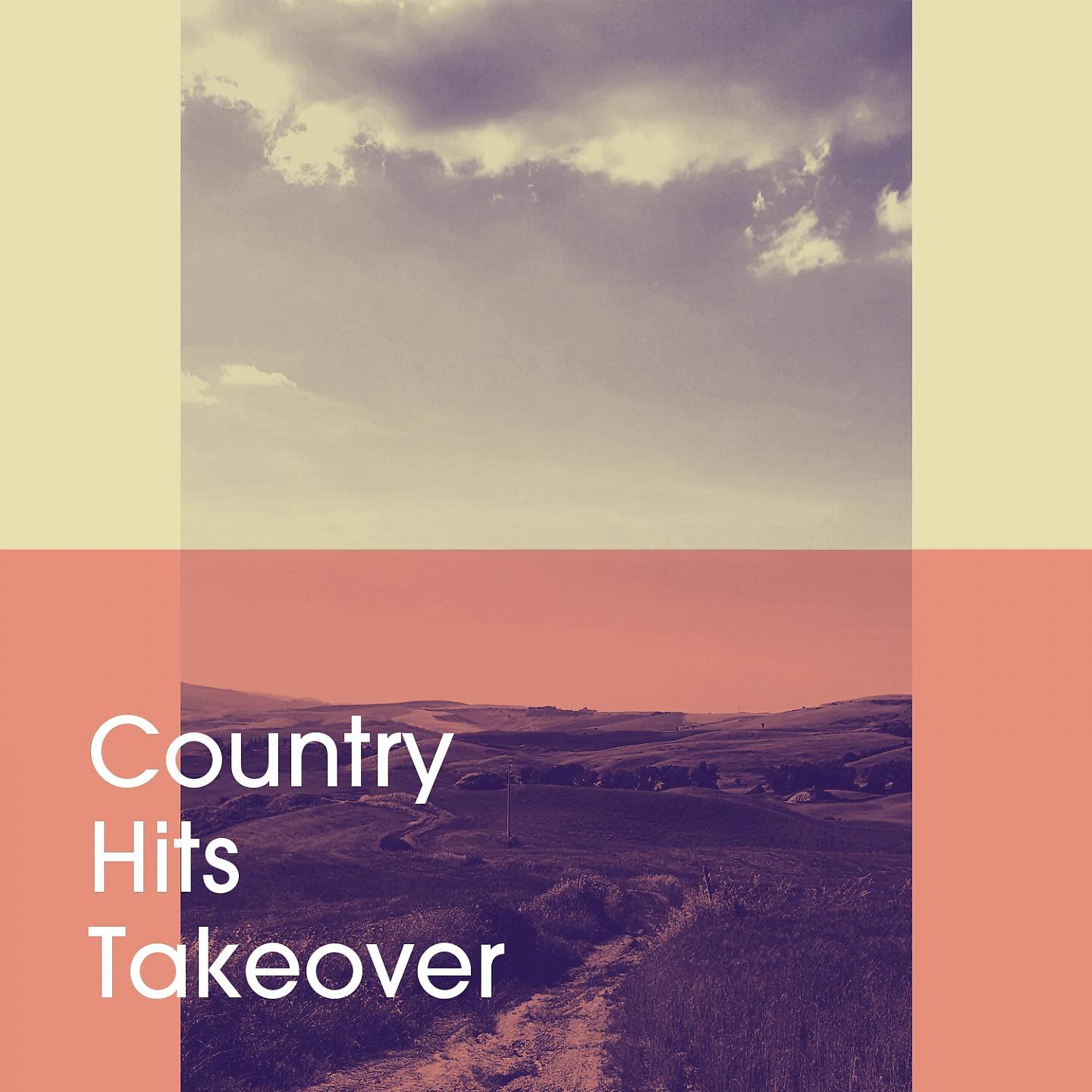 Постер альбома Country Hits Takeover