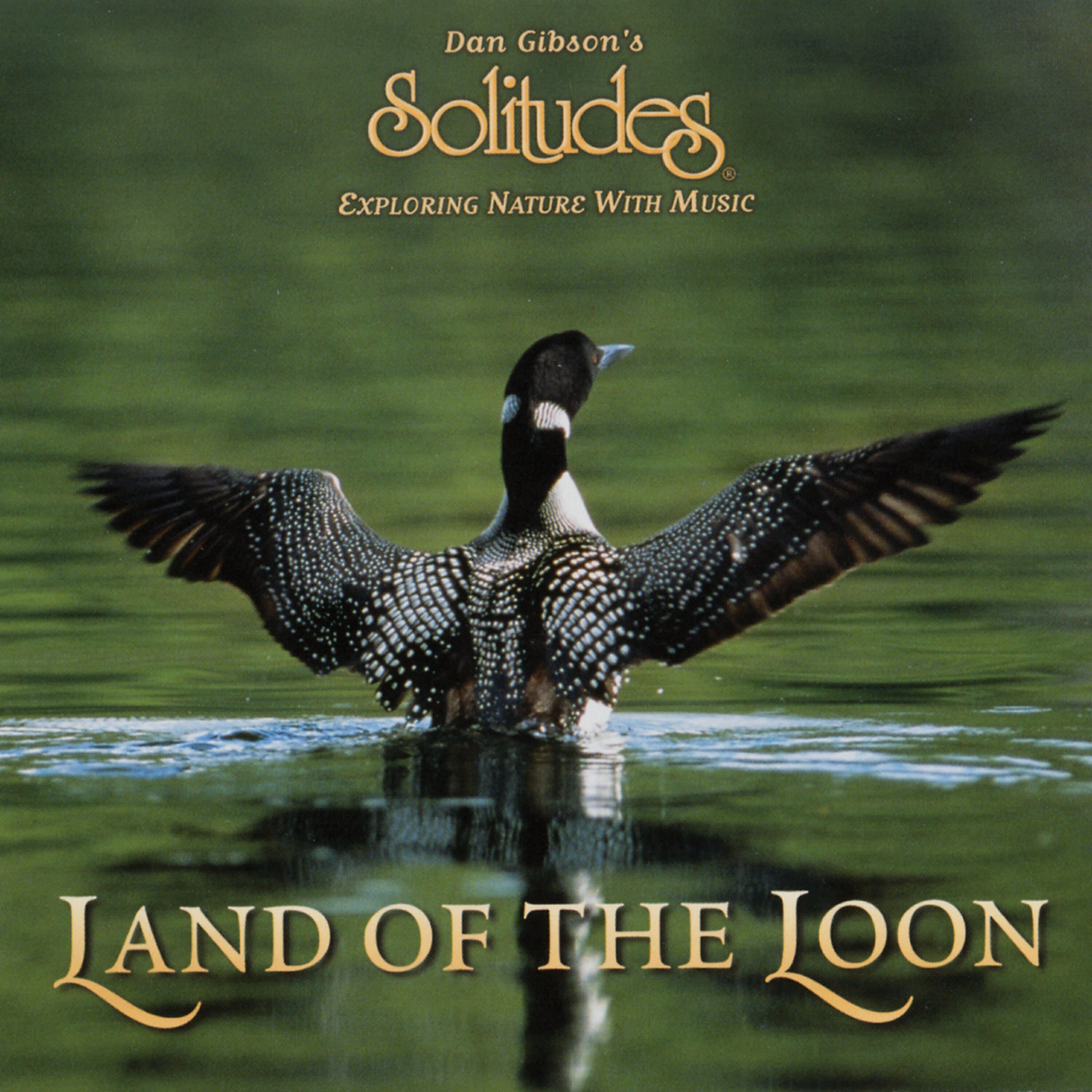 Dan Gibson's Solitudes - Wild Symphony