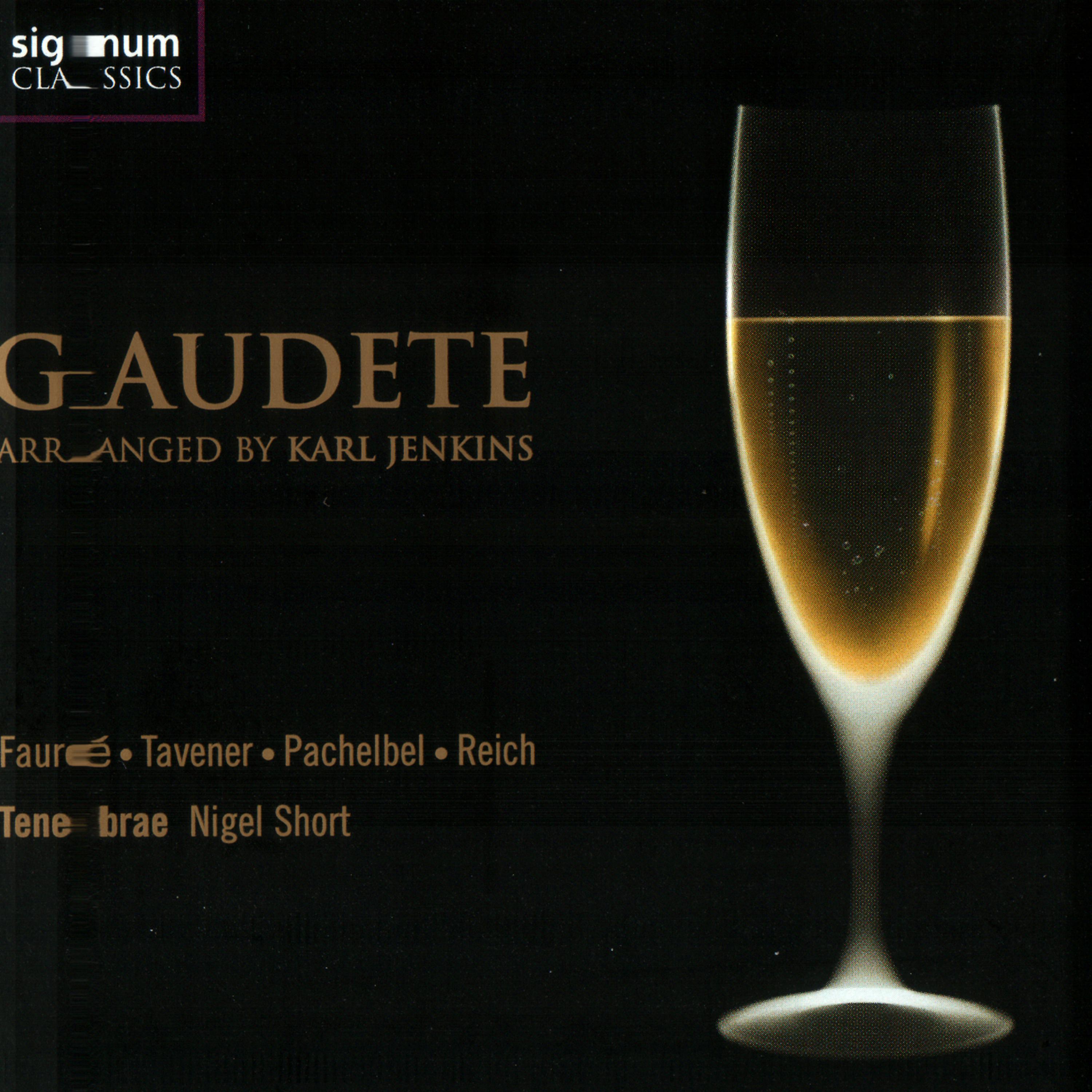 Постер альбома Gaudete - Arranged By Karl Jenkins