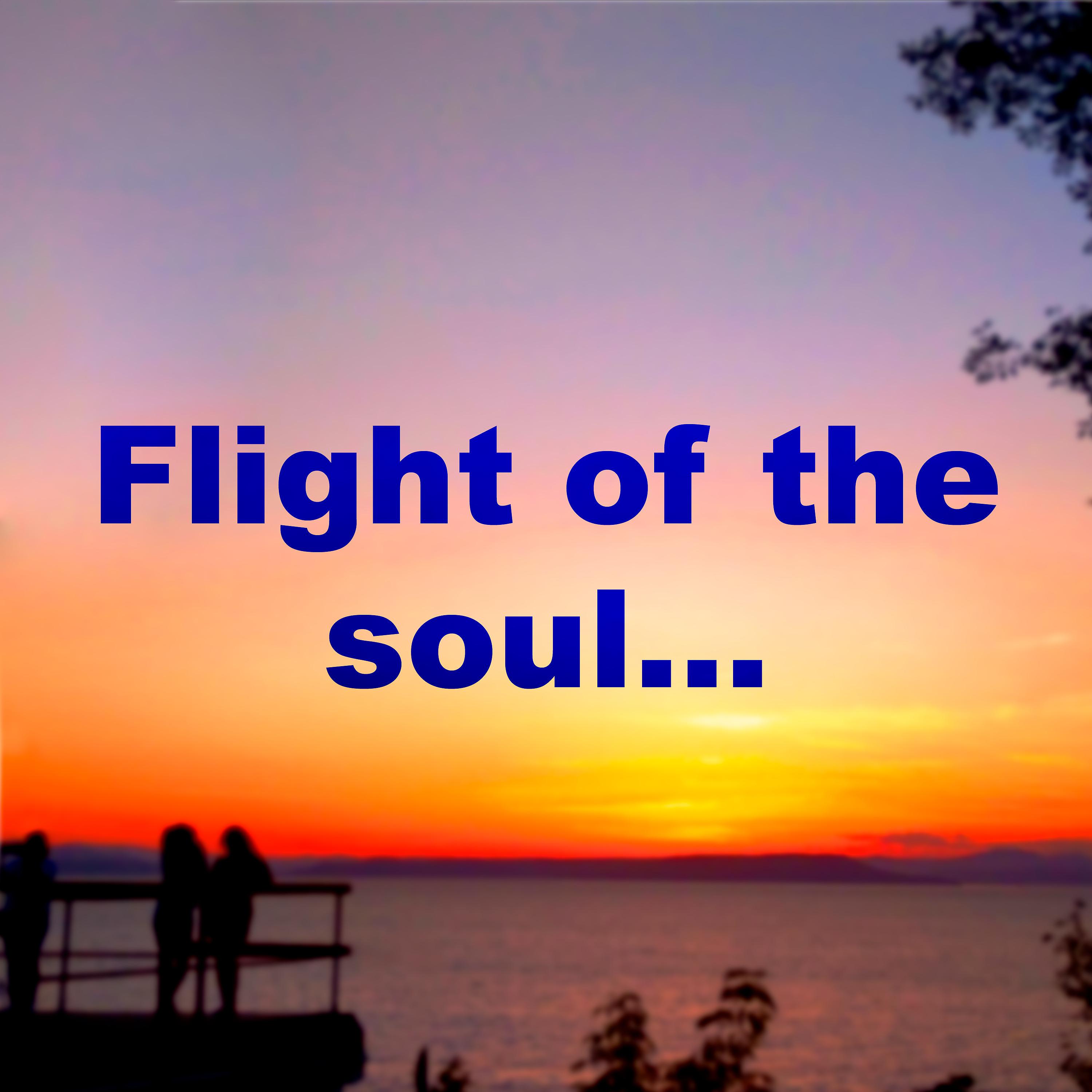 Постер альбома Flight of the Soul