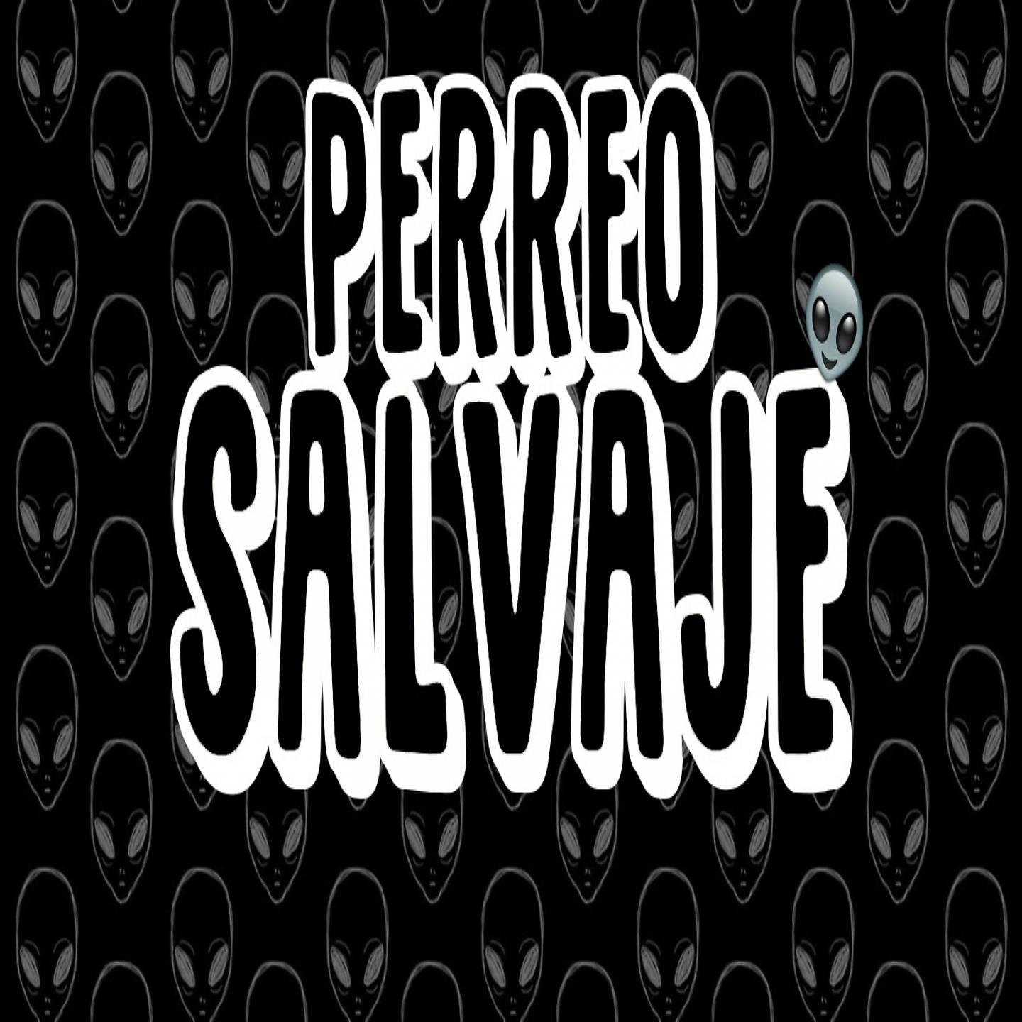 Постер альбома Perreo Salvaje