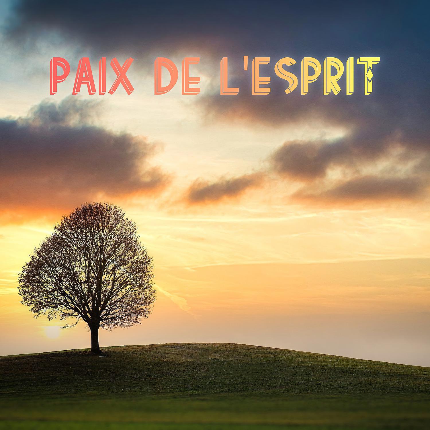 Постер альбома Paix de l'esprit