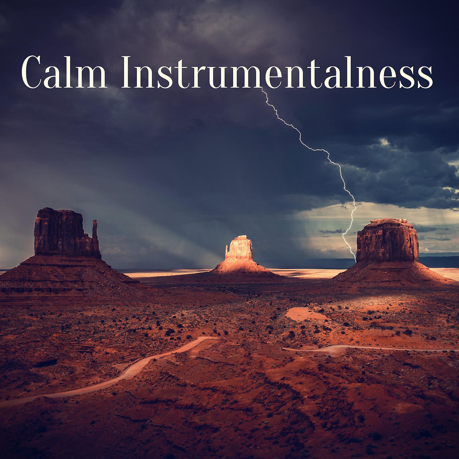 Постер альбома Calm Instrumentalness
