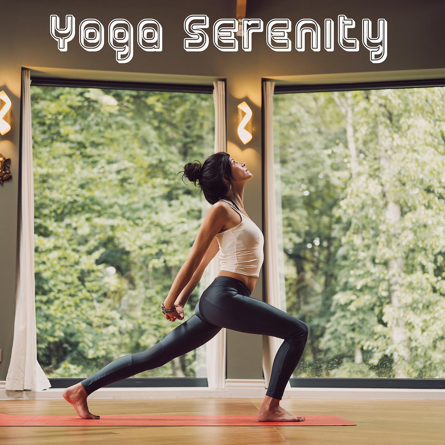 Постер альбома Yoga Serenity