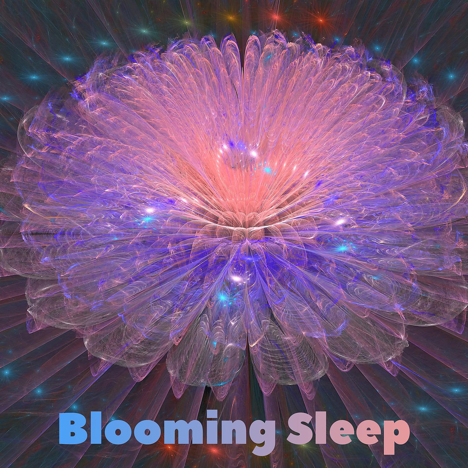 Постер альбома Blooming Sleep