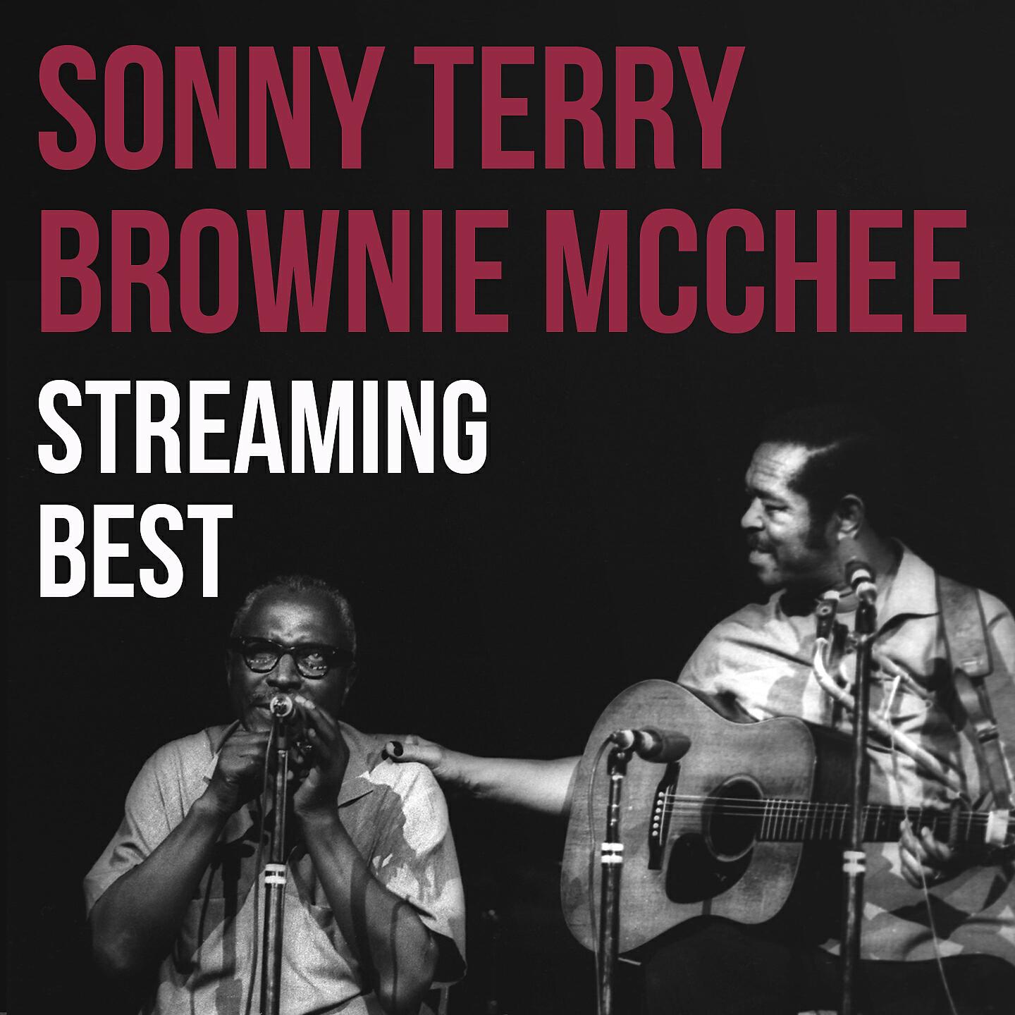 Sonny Terry & Brownie McGhee - Born to Live the Blues