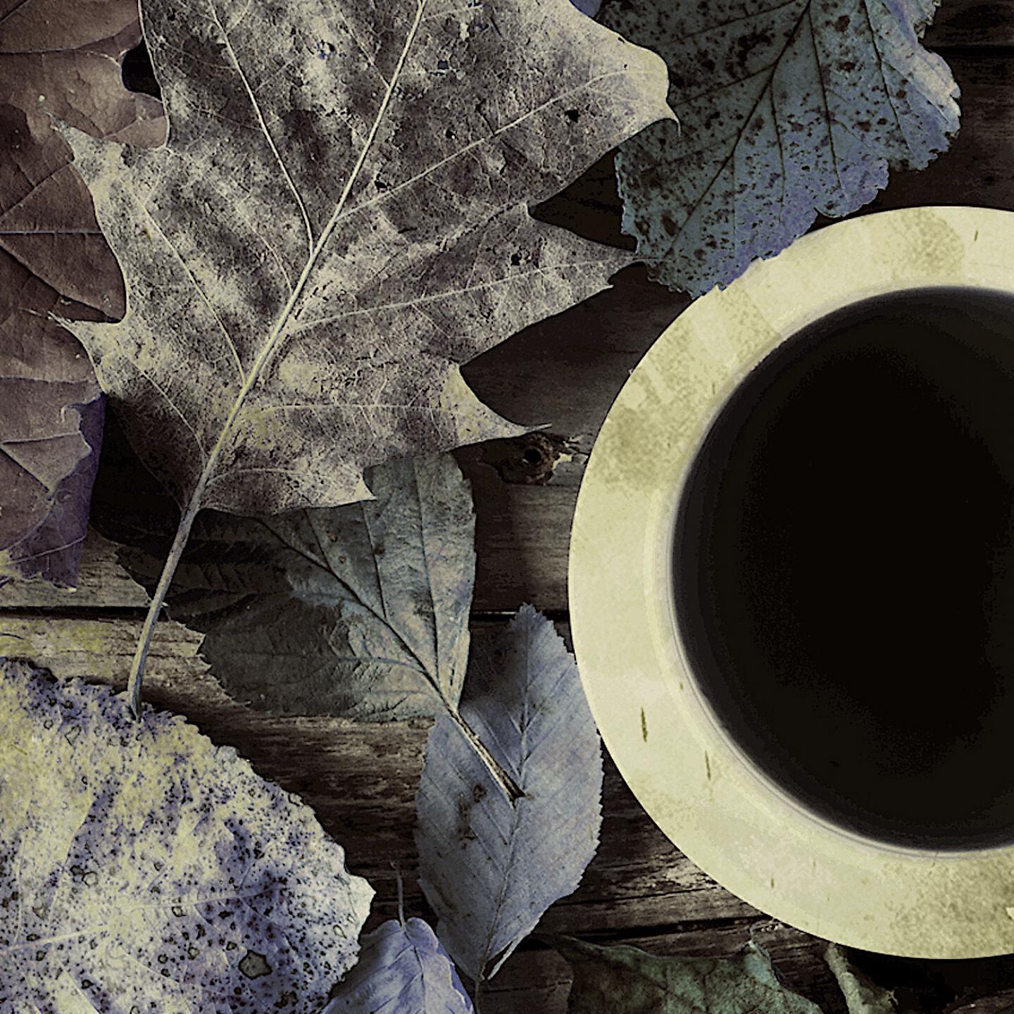 Charley Patton - Moon Going Down (Remastered)