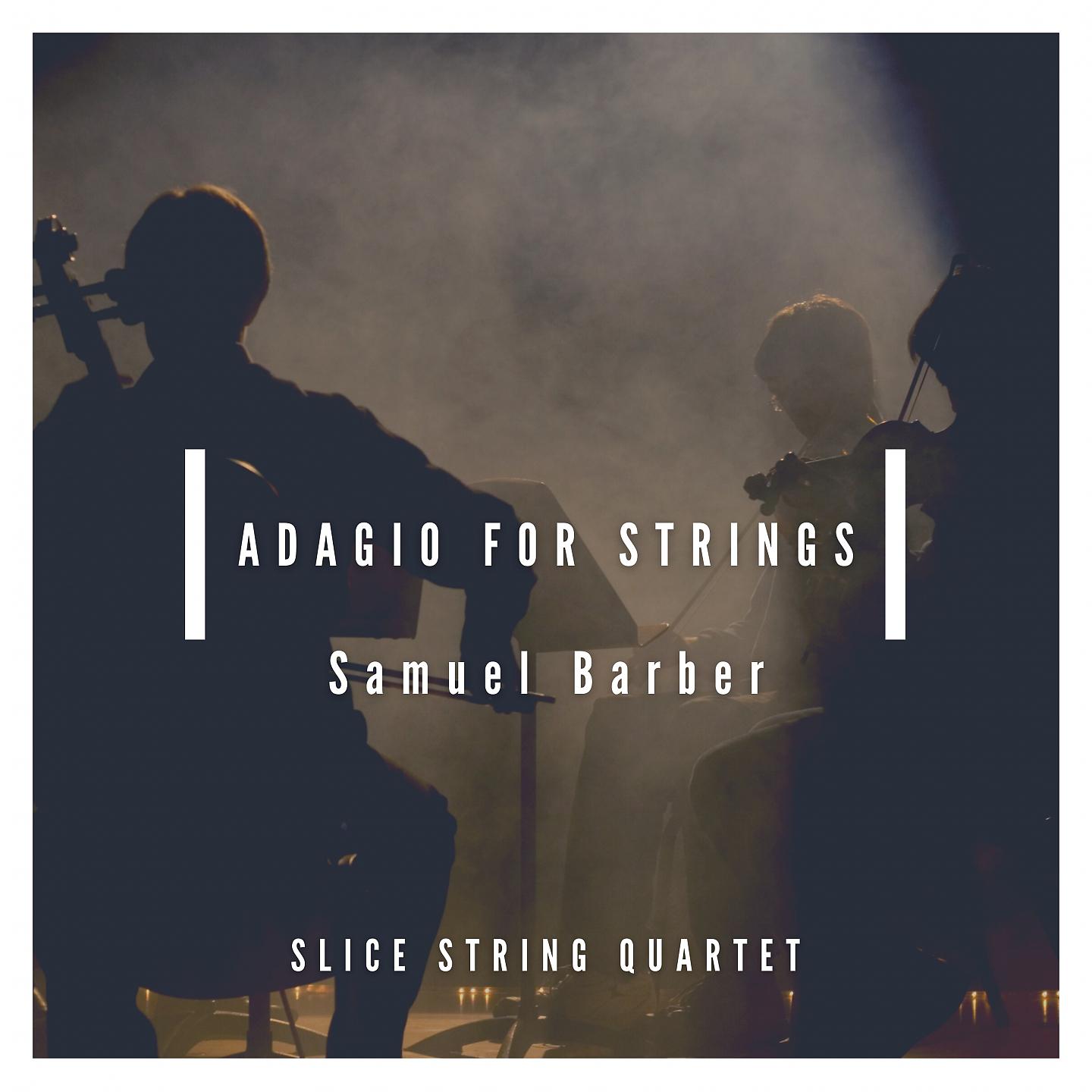 Постер альбома Adagio for Strings