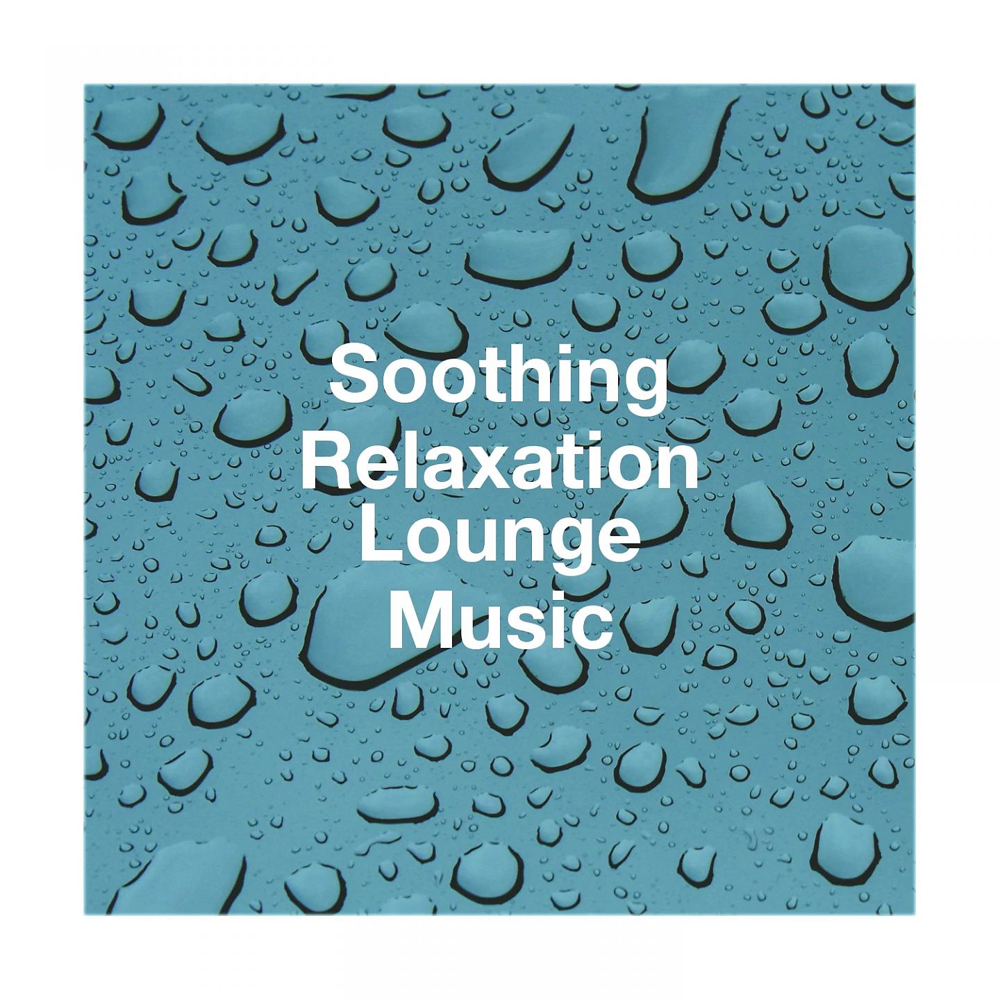 Постер альбома Soothing Relaxation Lounge Music
