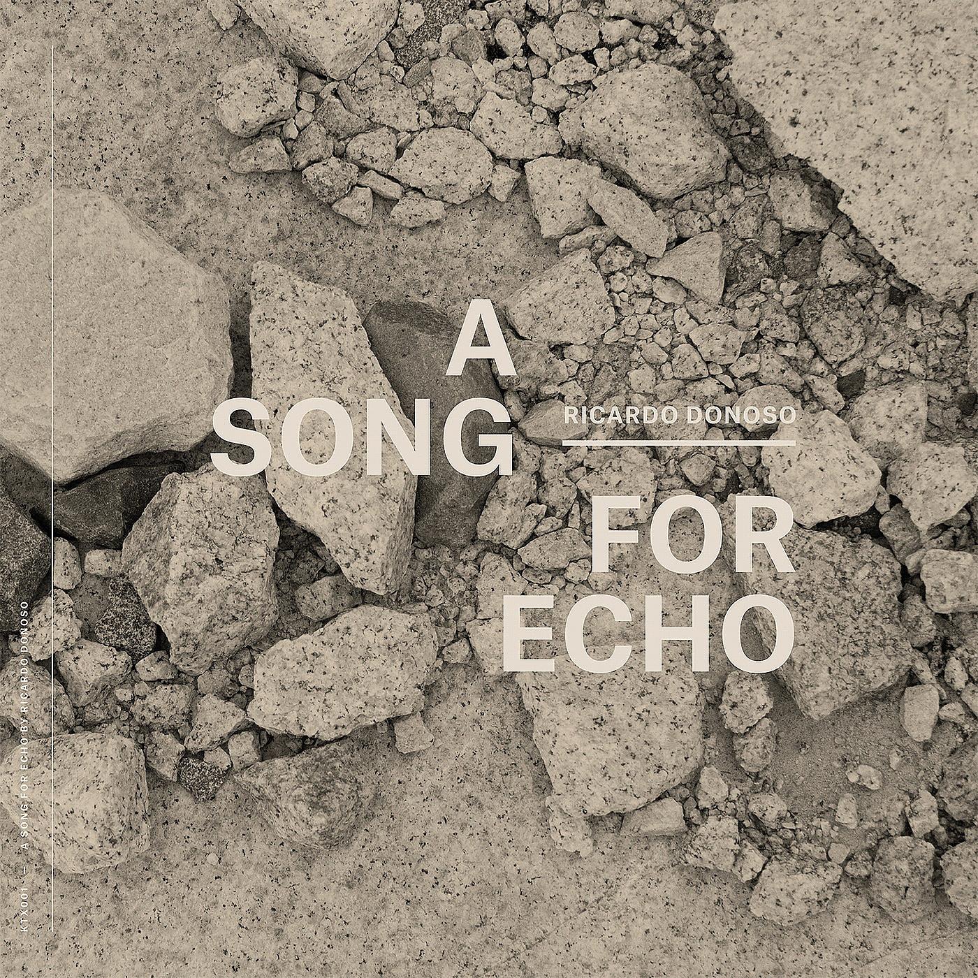 Постер альбома A Song For Echo