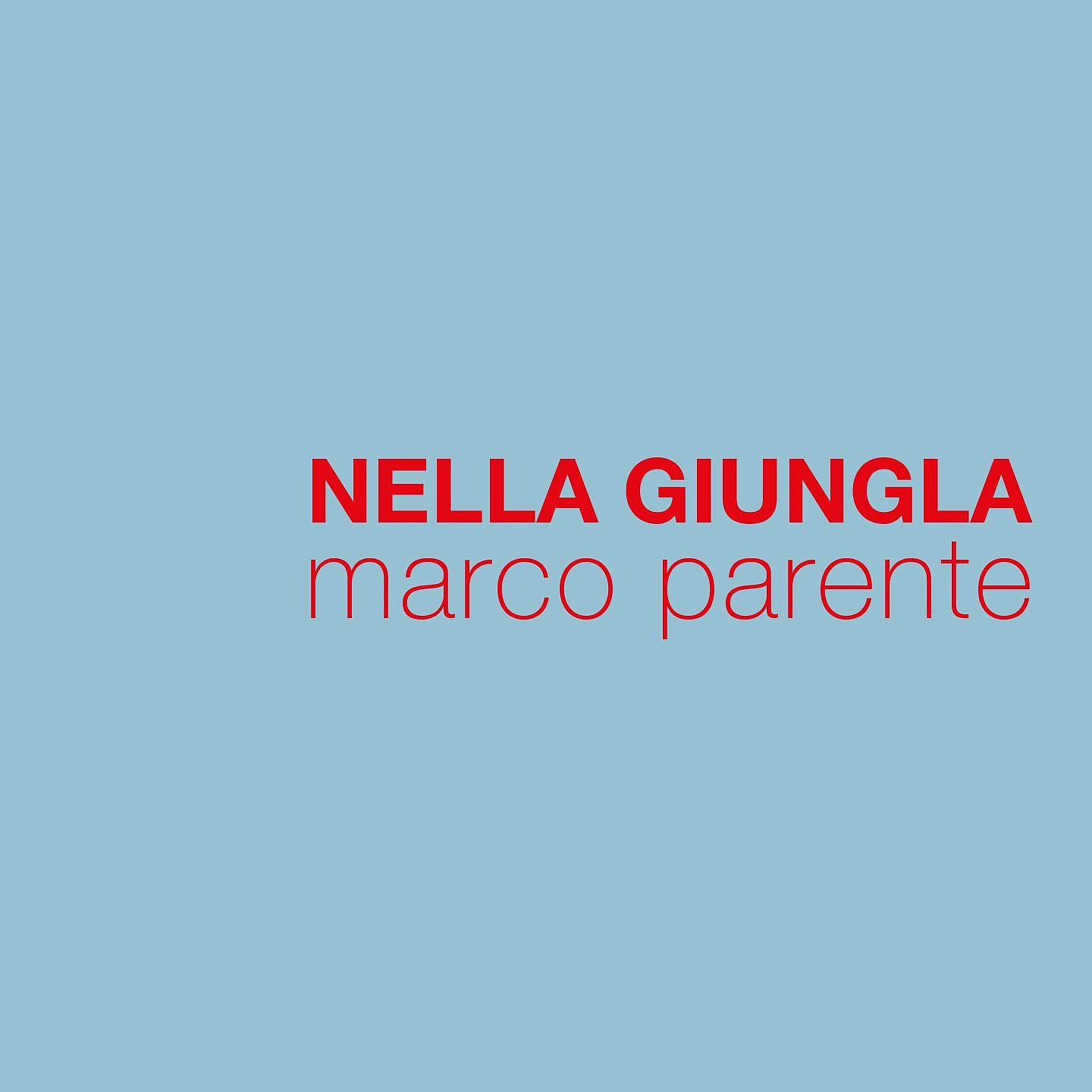 Постер альбома Nella giungla