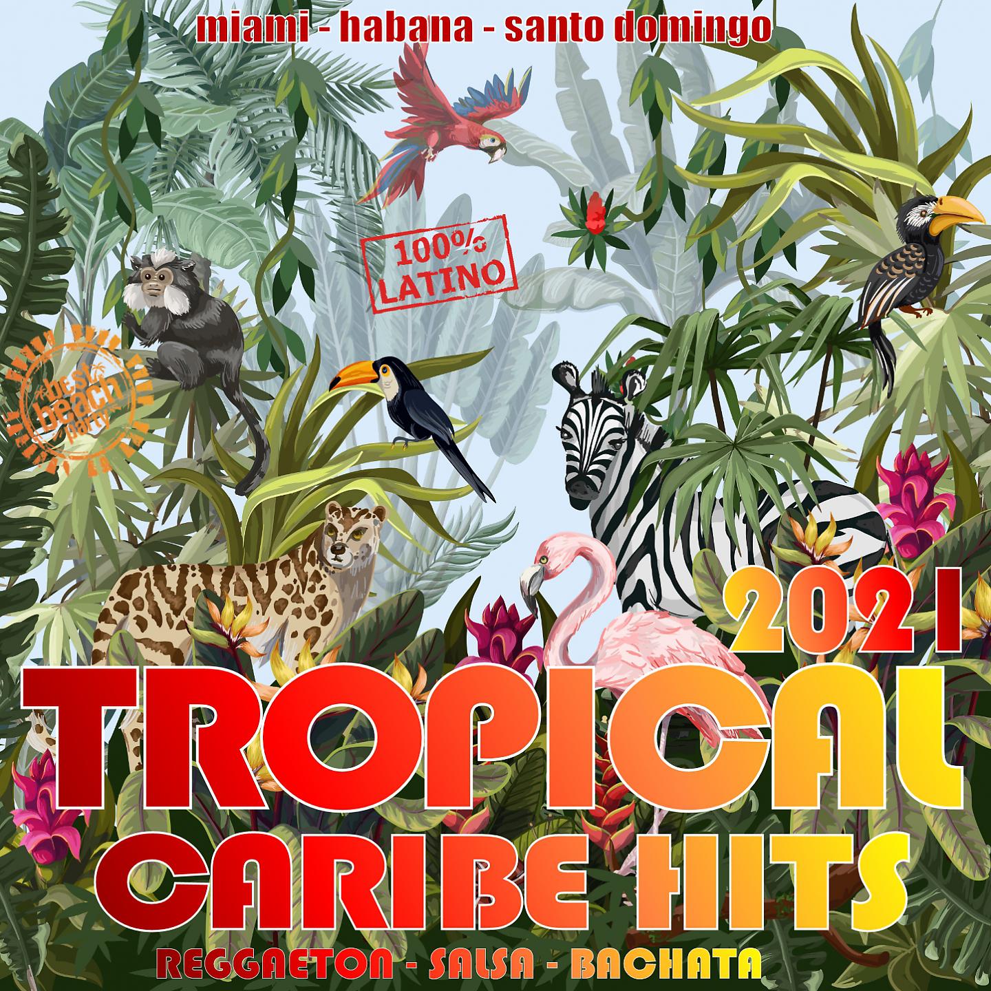 Постер альбома Tropical 2021 - Caribe Hits