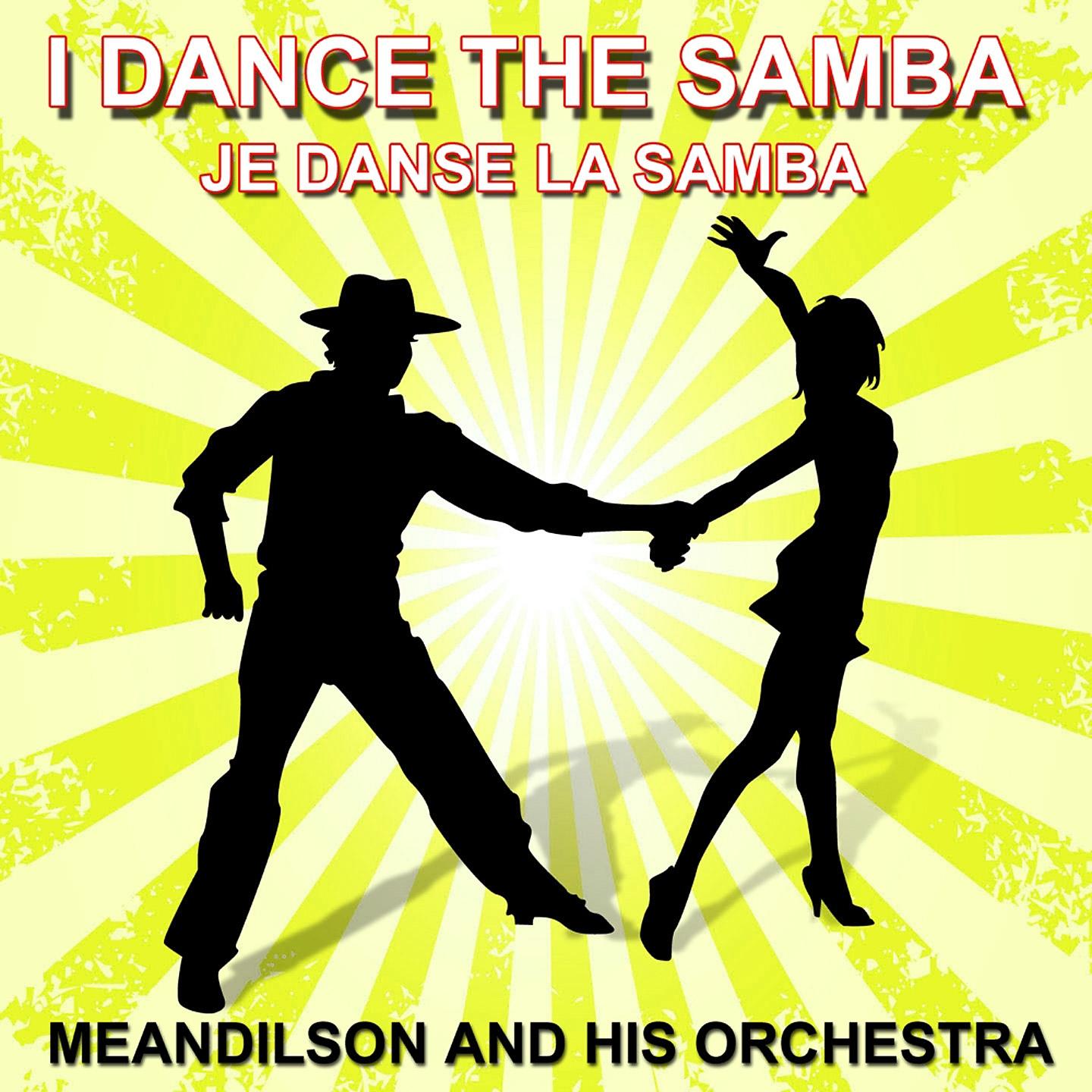 Постер альбома Je danse la samba