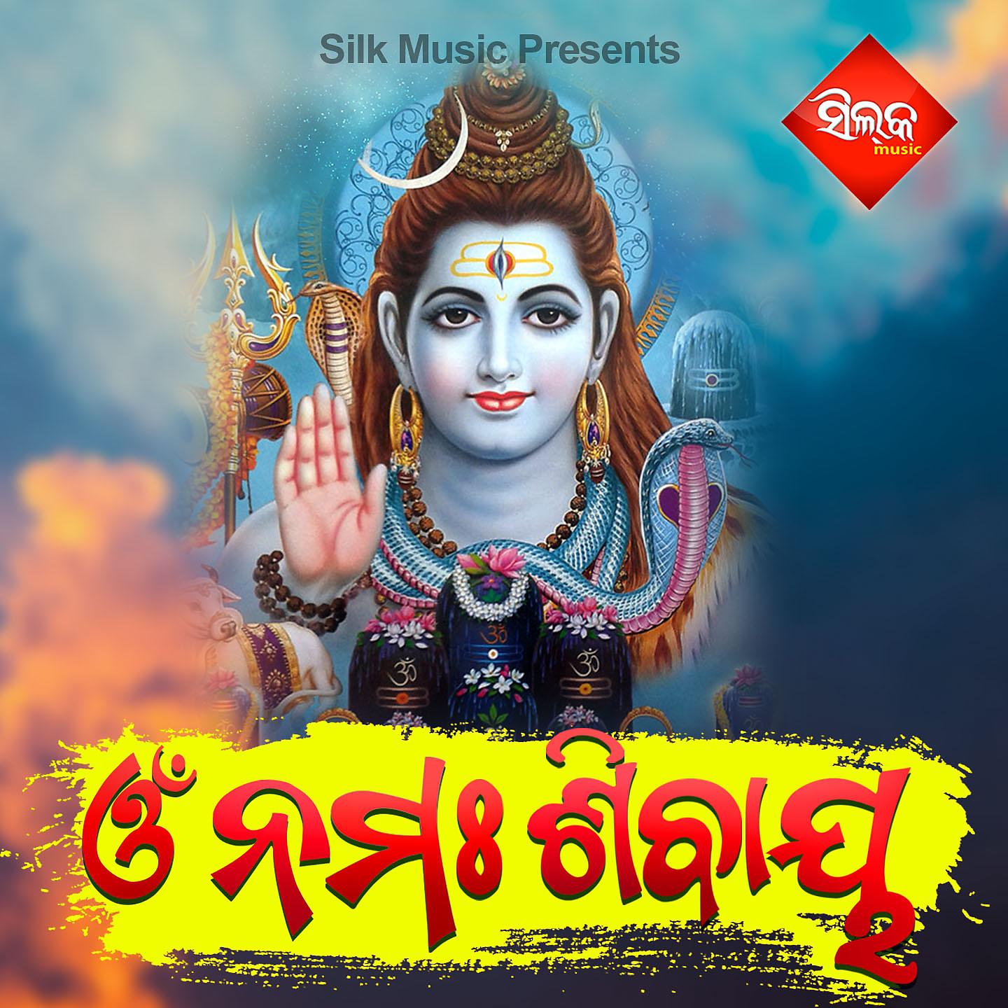 Постер альбома Om Namha Sivaya