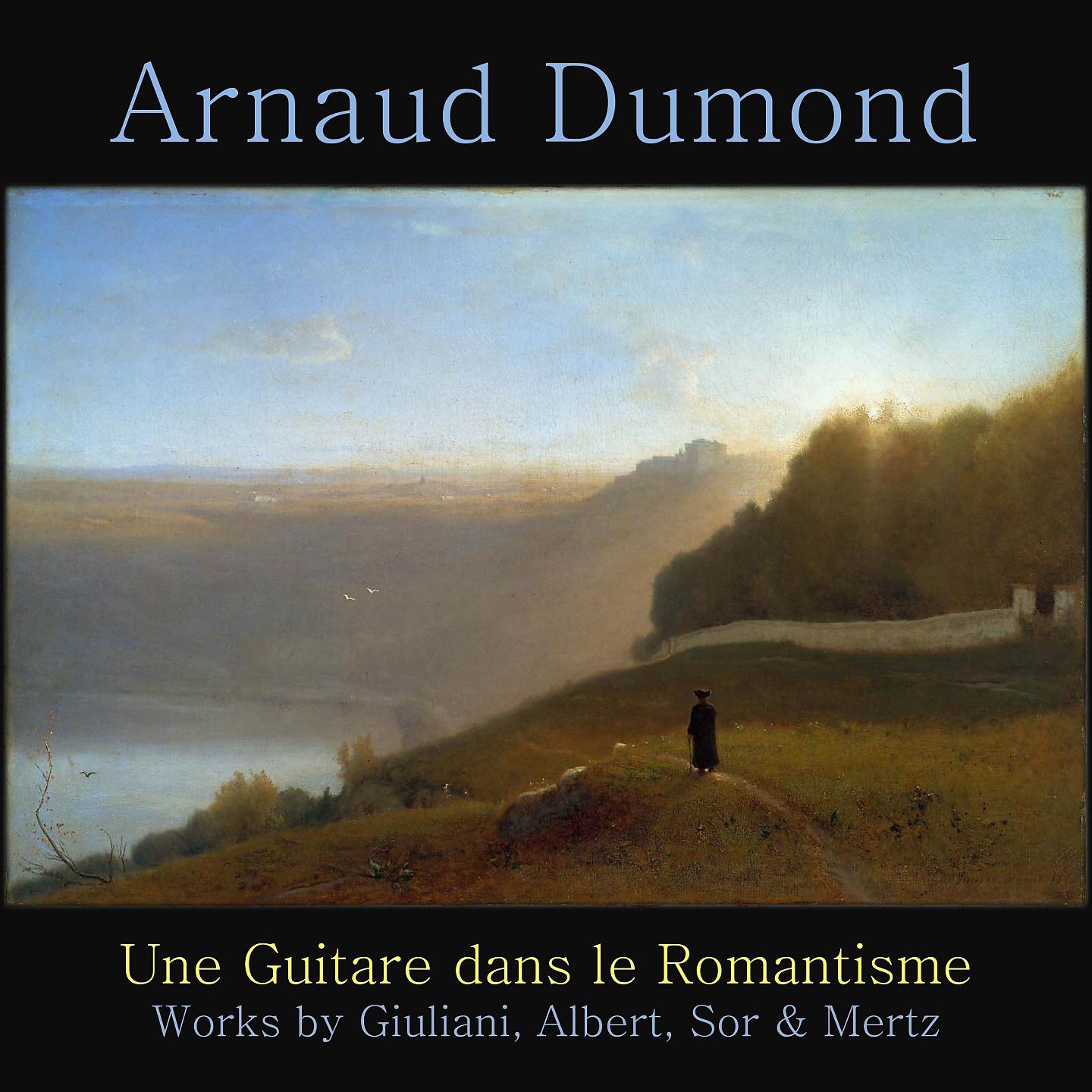 Постер альбома Une guitare dans le romantisme