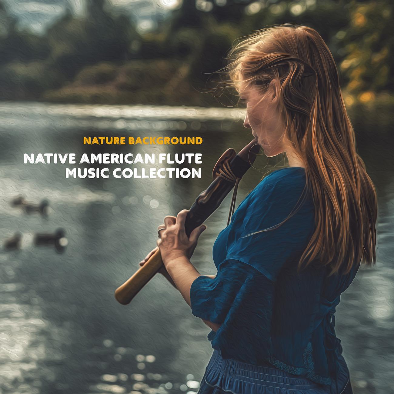 Постер альбома Native American Flute Music Collection