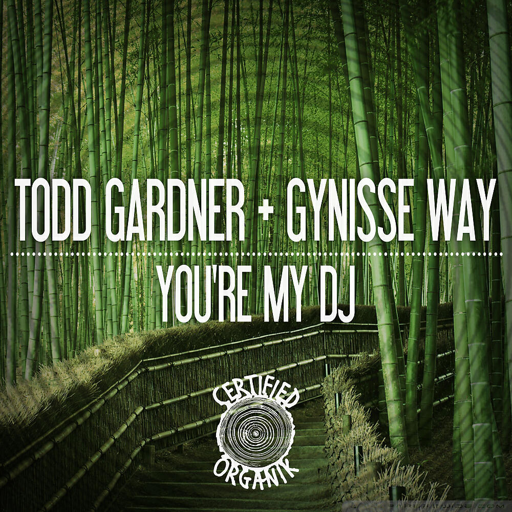 Todd Gardner - You're My Dj (Saxy Reprise)
