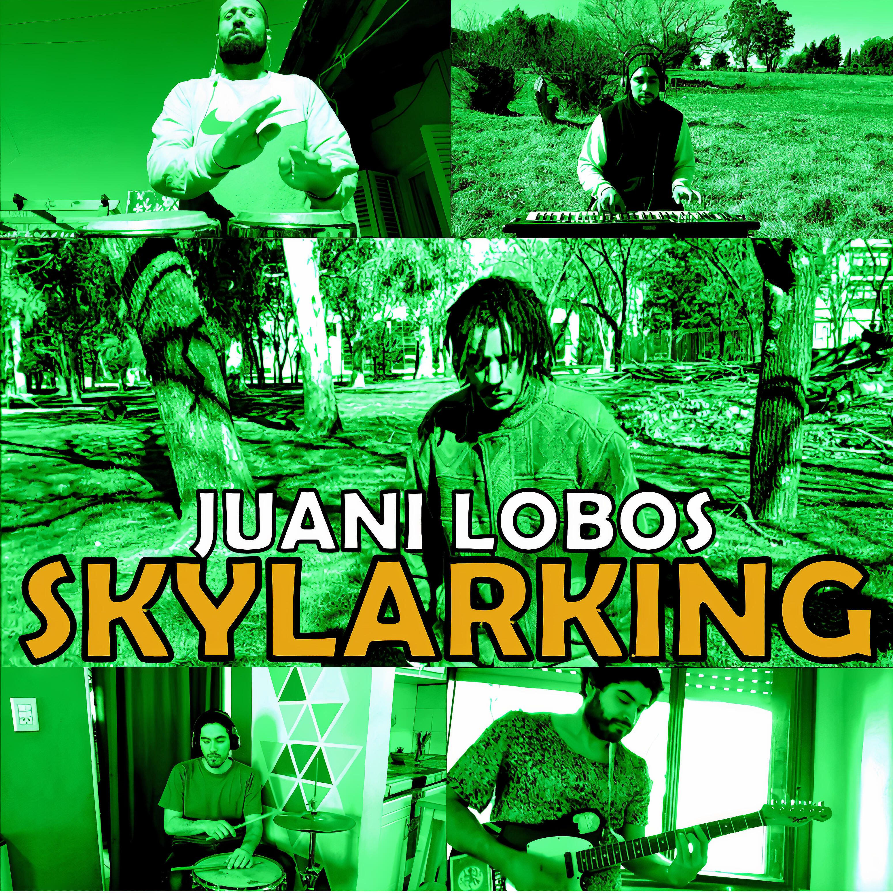 Juani Lobos - Skylarking