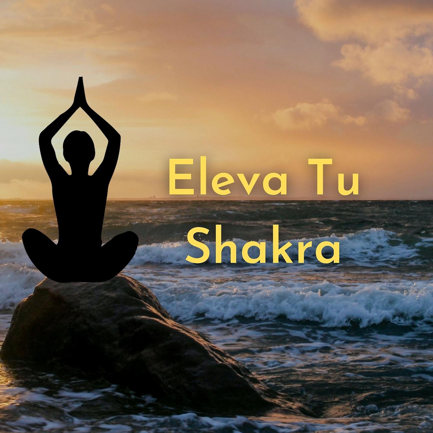 Постер альбома Eleva Tu Shakra
