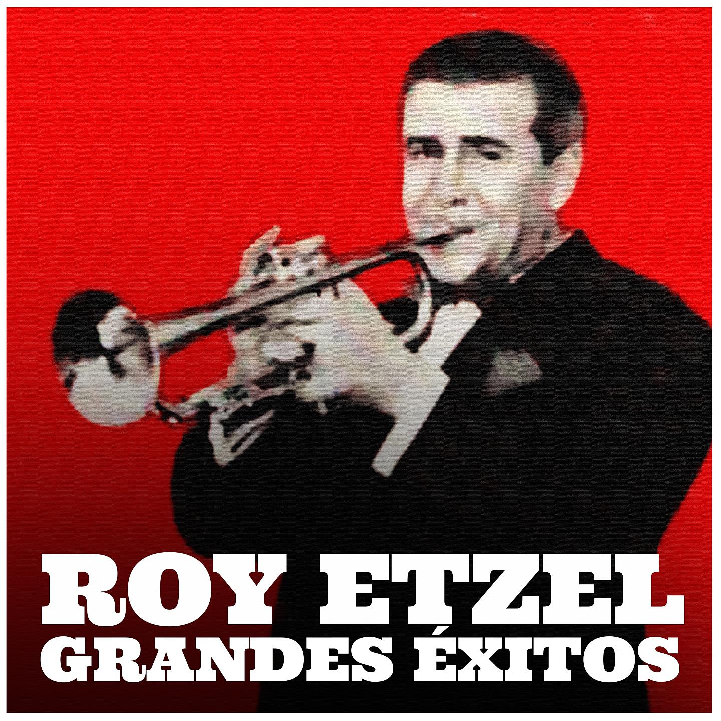 Постер альбома Roy Etzel: Grandes Éxitos