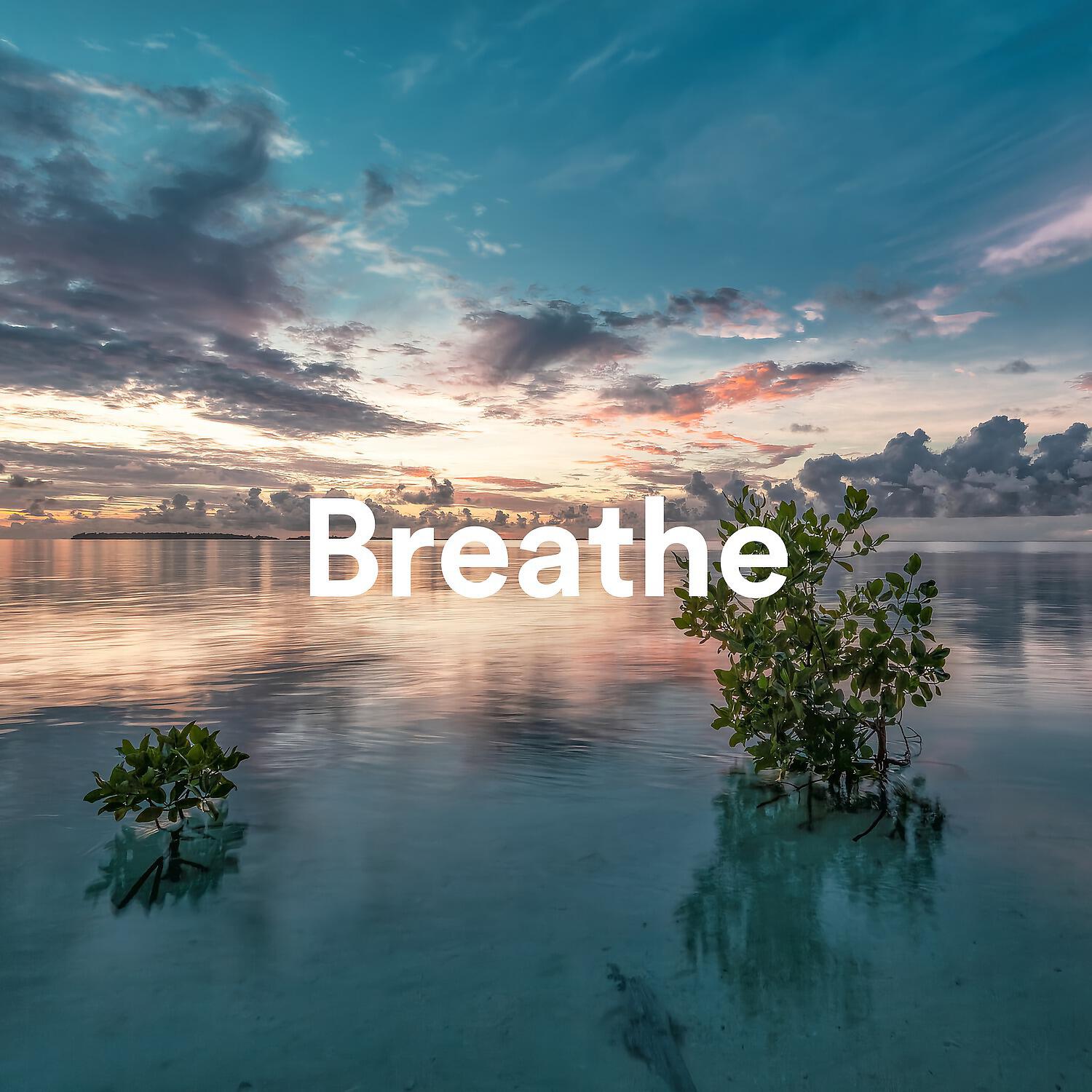 Breathe - Beautiful World