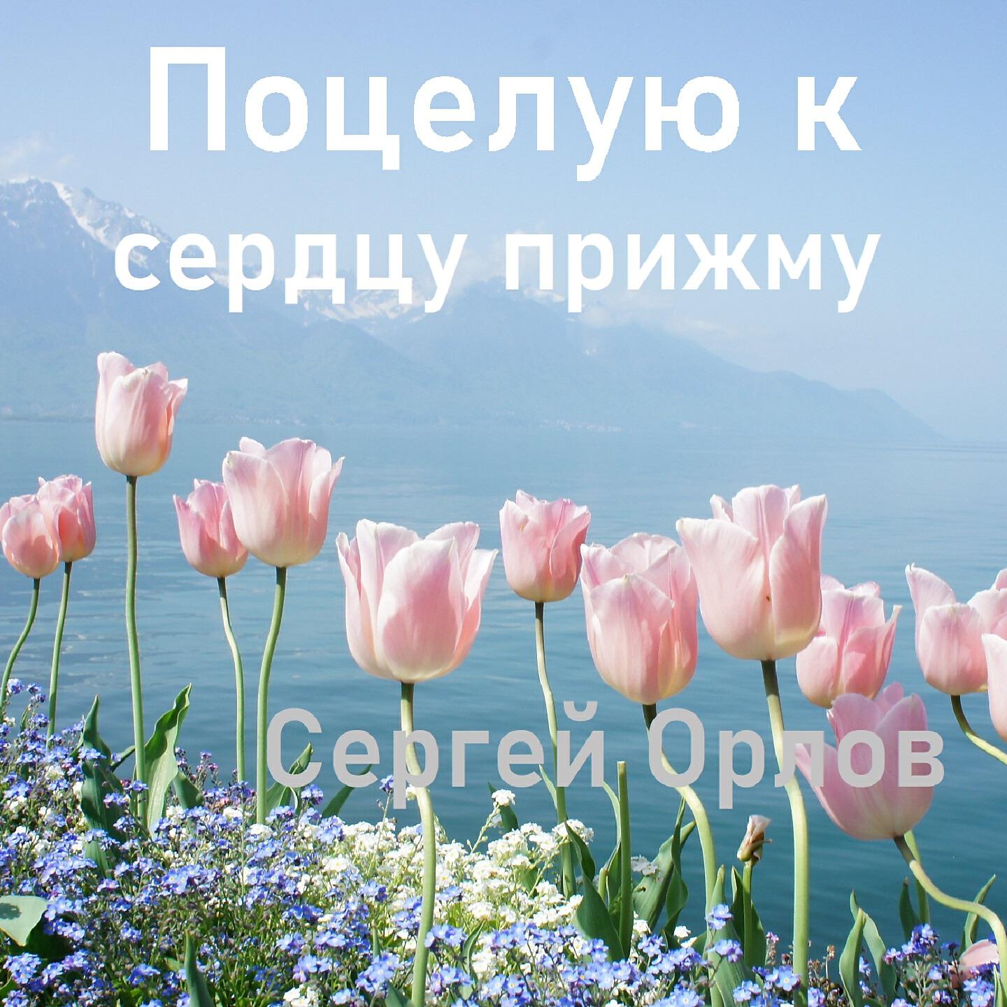 СЕРГЕЙ ОРЛОВ - Поцелую к сердцу прижму