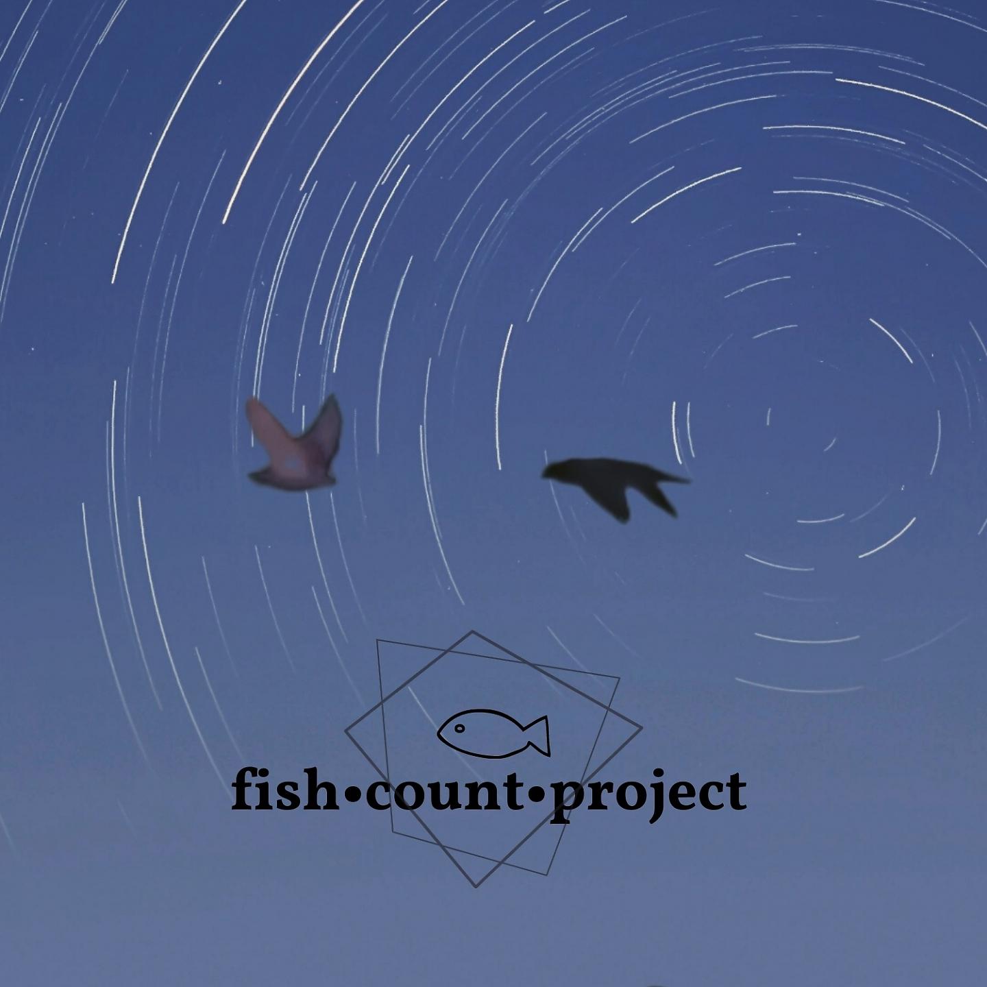 Постер альбома Fish*Count*Project